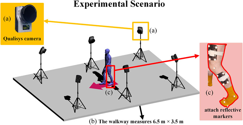 Experimental setup depicting a walkway measuring six and a half meters by three and a half meters with a blue humanoid figure surrounded by cameras on tripods. The inset (a) shows a Qualisys camera, and inset (c) highlights a leg with attached reflective markers.
