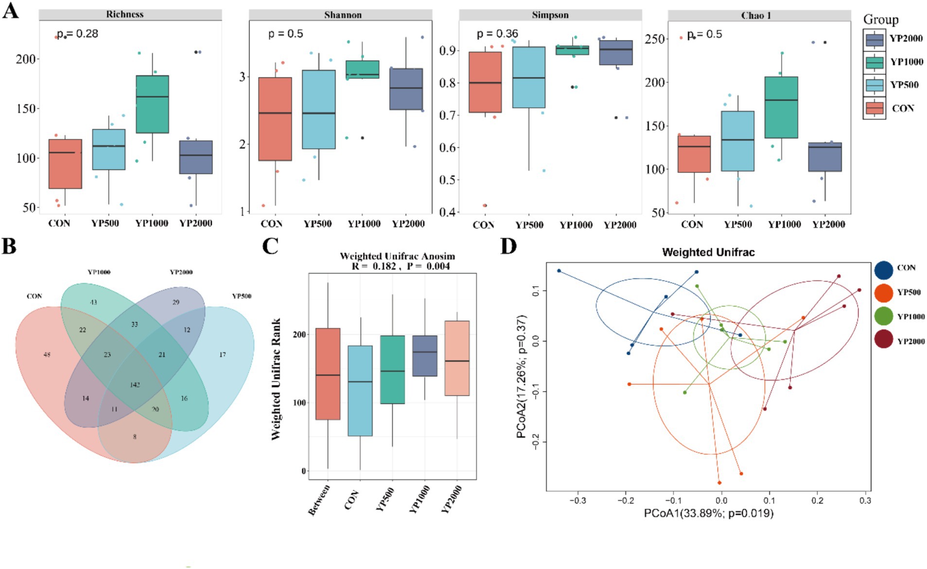Panel A shows box plots comparing four diversity indices (Richness, Shannon, Simpson, Chao 1) across groups CON, YP500, YP1000, and YP2000 with p-values. Panel B is a Venn diagram displaying shared and unique elements among the same groups. Panel C presents a box plot of Weighted Unifrac Anosim scores with statistical details. Panel D illustrates a PCoA plot using Weighted Unifrac distances with group differentiation by color-coded ellipses.