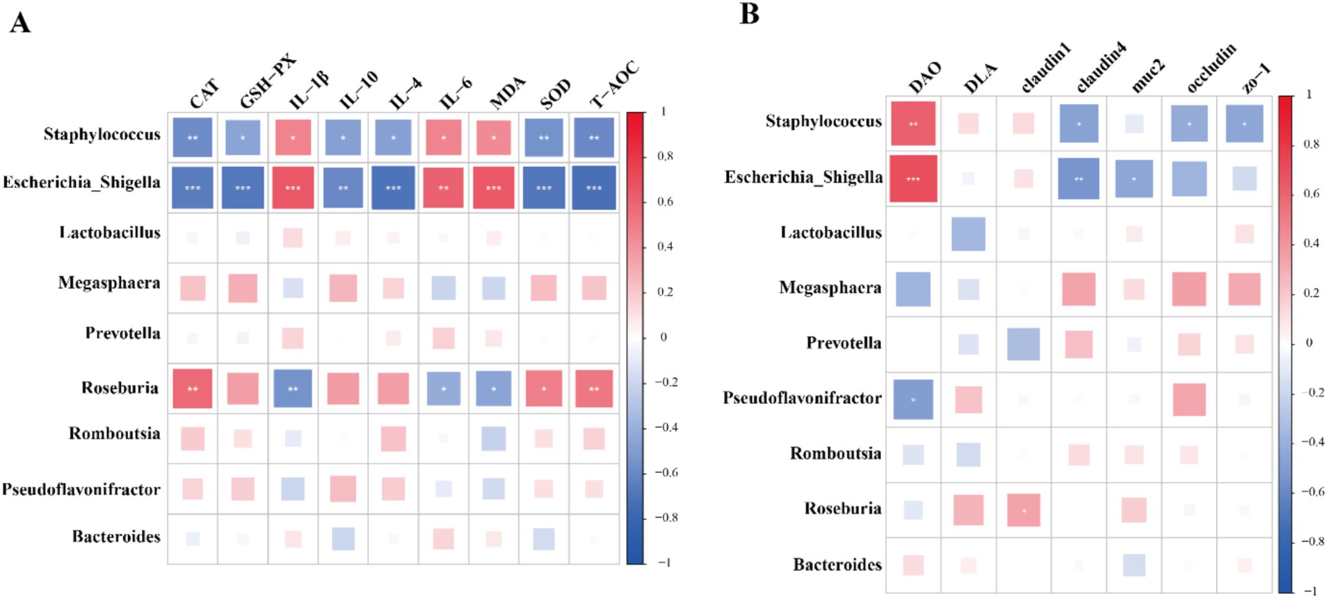 Correlation heatmaps labeled A and B. Heatmap A shows correlations between various bacteria and factors like CAT, GSH-PX, IL-1β, IL-10, IL-4, IL-6, MDA, SOD, T-AOC. Heatmap B shows correlations with factors like DAO, DLA, claudin1, claudin4, mue2, occludin, zo-1. Red indicates positive correlation, blue indicates negative, with significance marked by asterisks.