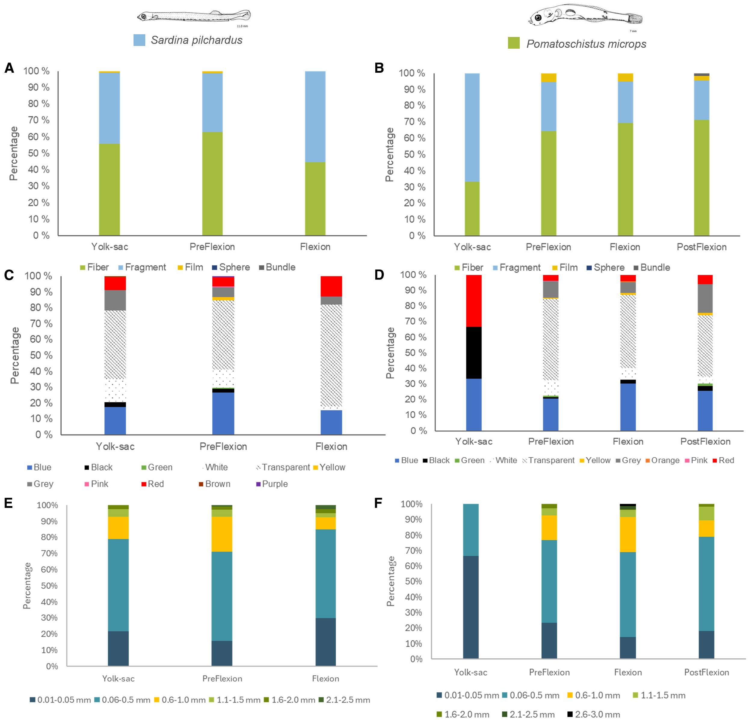 Bar graphs depict the composition of different stages of two fish species, Sardina pilchardus and Pomatoschistus microps. Graphs A and B represent types of debris (fiber, fragment, film, sphere, bundle) for each developmental stage: Yolk-sac, PreFlexion, Flexion, and PostFlexion. Graphs C and D display color distribution (blue, black, green, etc.) in the developmental stages. Graphs E and F show size ranges of debris (0.01-0.05 mm to 2.1-2.5 mm for E and extended to 2.6-3.0 mm for F) across the same stages. Each graph uses stacked bars to indicate percentages.