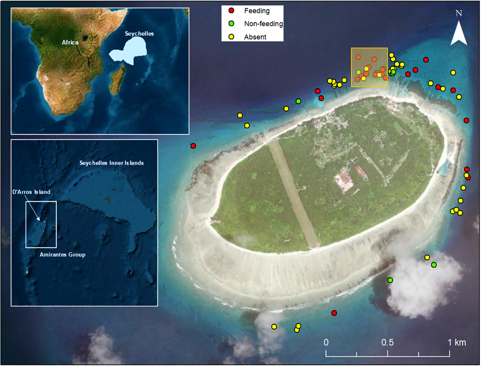 Satellite image of D'Arros Island with feeding, non-feeding, and absent locations marked using red, yellow, and green dots. Insets show the island's location in Seychelles near Africa, and zoom into the Amirantes Group. A legend indicates dot colors. Scale bar present.