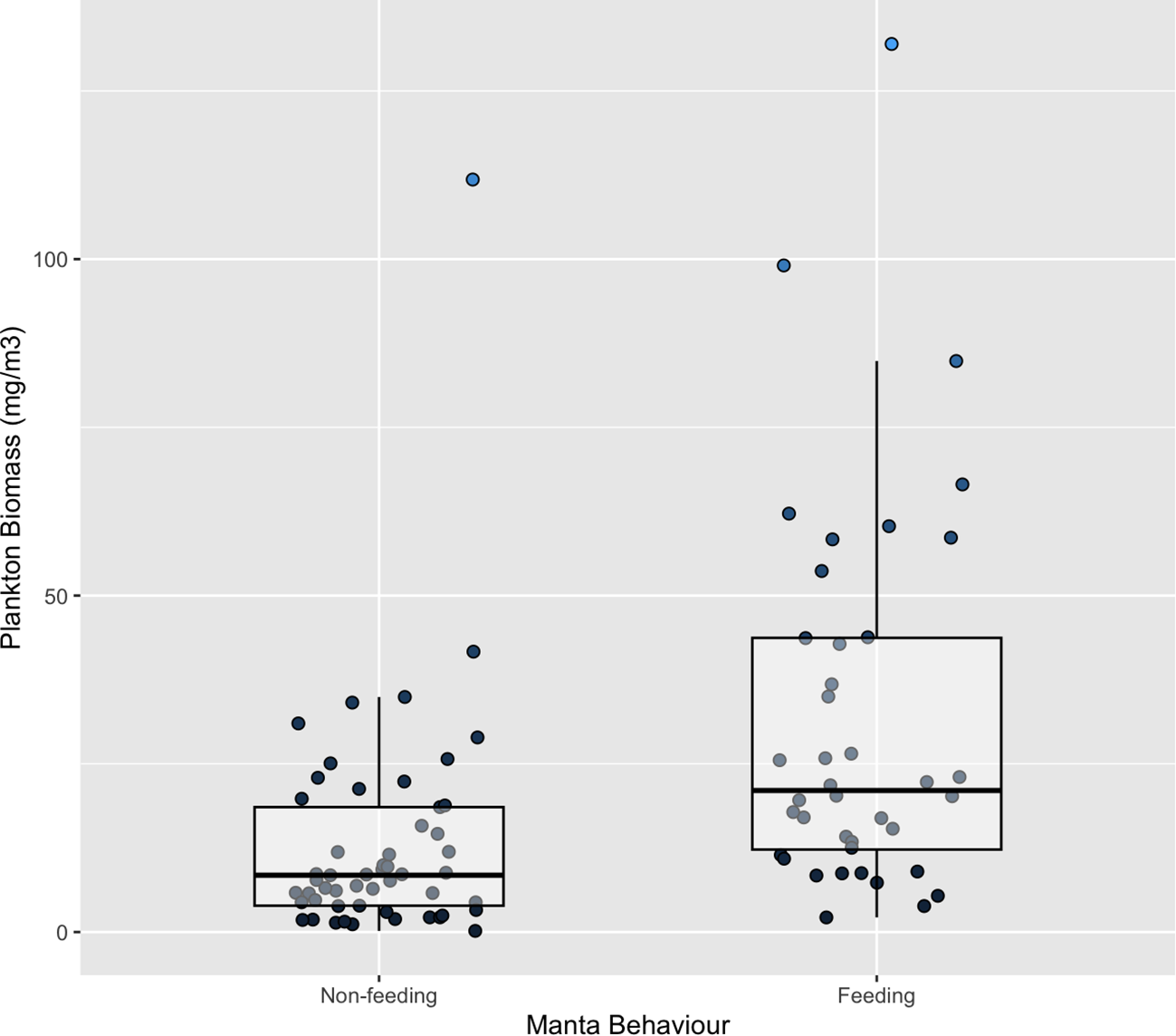 Box plot showing plankton biomass (milligrams per cubic meter) for manta behaviors, non-feeding and feeding. The feeding category displays higher biomass with more variability and outliers above 100 milligrams per cubic meter, compared to the non-feeding category.