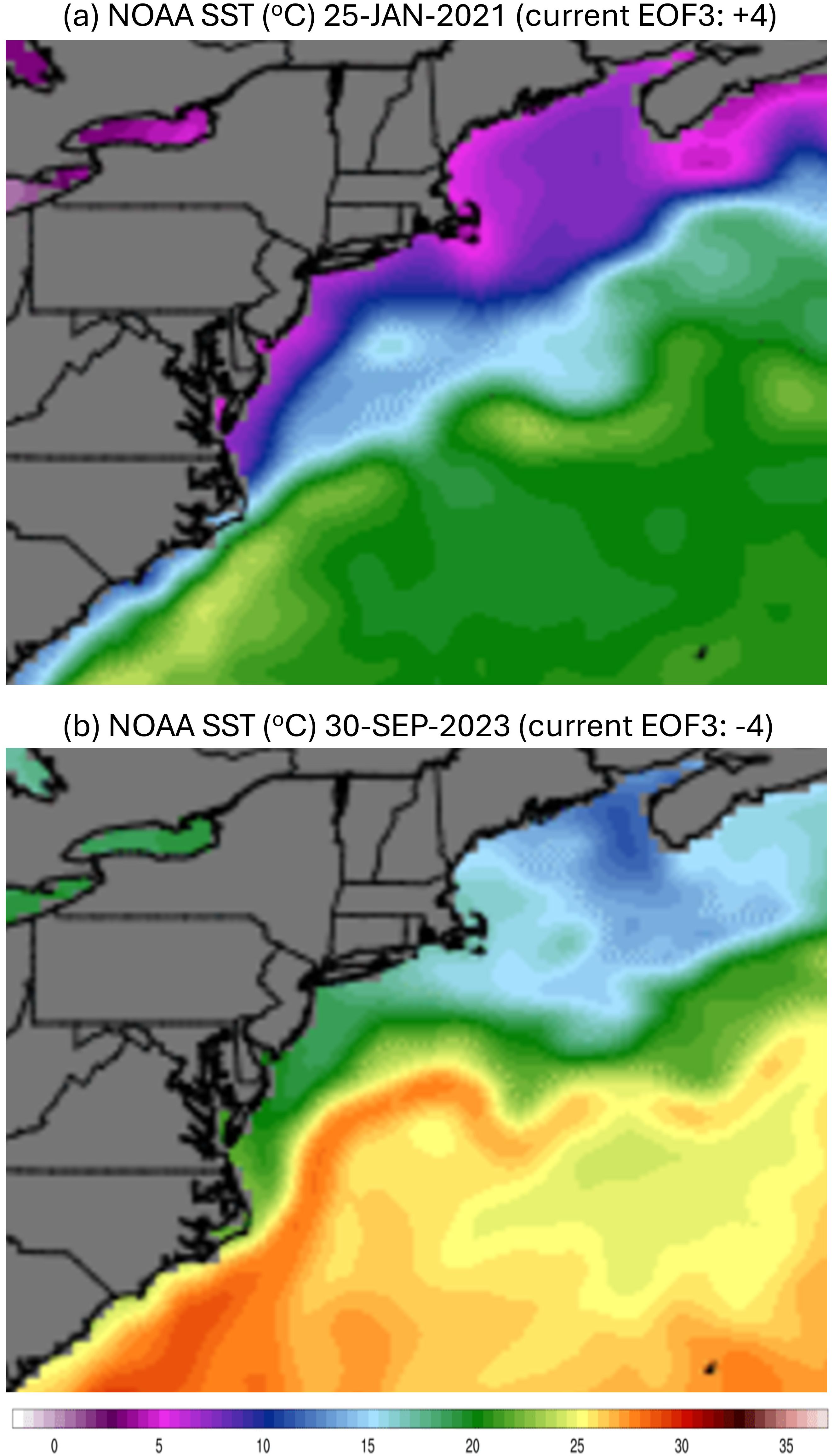Two maps show NOAA sea surface temperatures in degrees Celsius for the northeastern U.S. coast. The first, dated January 25, 2021, shows cooler temperatures with purple hues near the coast. The second, dated September 30, 2023, displays warmer temperatures with orange and yellow hues further south. Both maps include a color gradient bar from zero to thirty-five degrees Celsius.