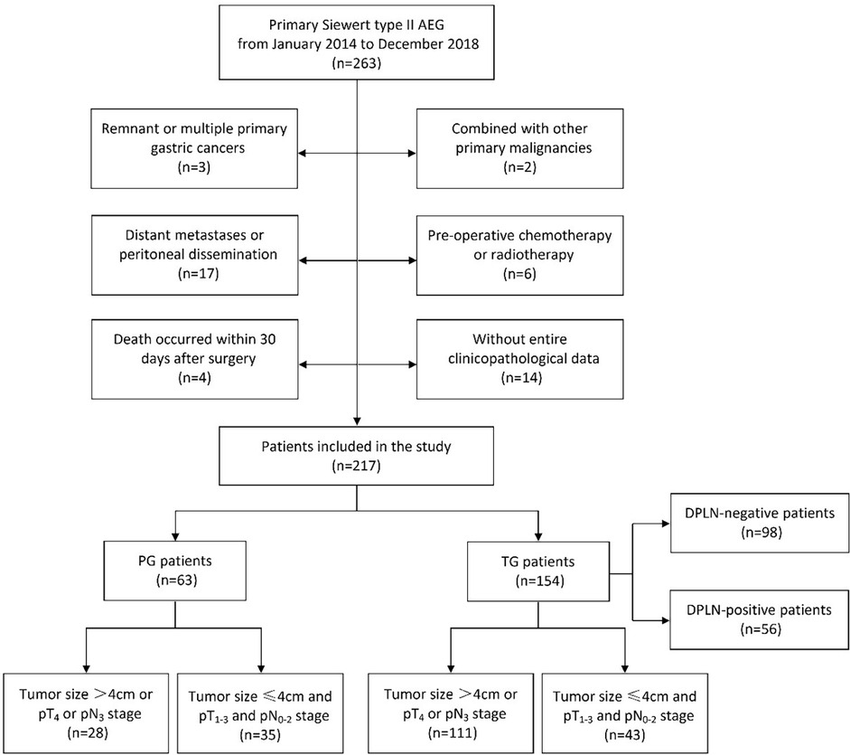 Flowchart depicting patient selection for a study on Primary Siewert type II AEG from January 2014 to December 2018. Out of 263 initial patients, 46 were excluded due to various factors such as remnant gastric cancers, distant metastases, etc. The study included 217 patients divided into PG and TG groups, with further categorization based on tumor size and stages.