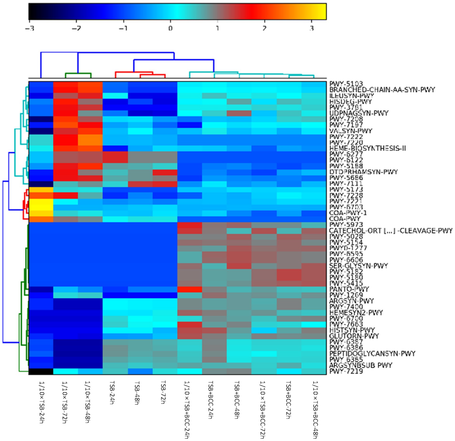 Heatmap displaying clustered pathways with color-coded values ranging from dark blue (low) to bright red (high), corresponding to a scale from minus three to three. Pathway names are listed on the right, and cluster dendrograms appear on the top and left sides.