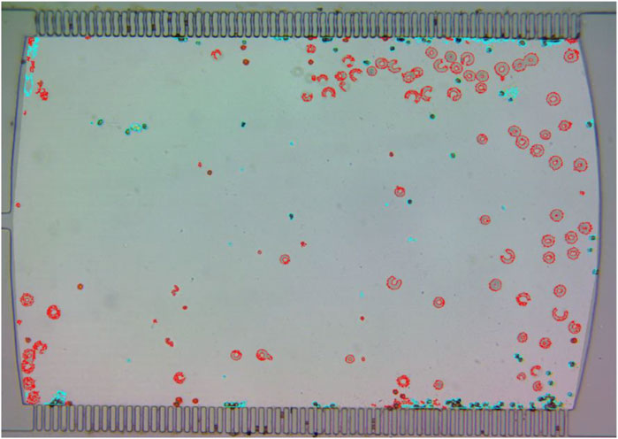 Microscopic view of a counting chamber with numerous scattered cells outlined in red. The background is light gray, and the chamber edges are marked by ridged structures.
