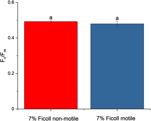 Bar graph comparing F<sub>v/F<sub>m</sub> values for 7% Ficoll non-motile and motile conditions. The red bar represents the non-motile condition and the blue bar represents the motile condition, both measuring approximately 0.5 with no significant difference indicated by the label