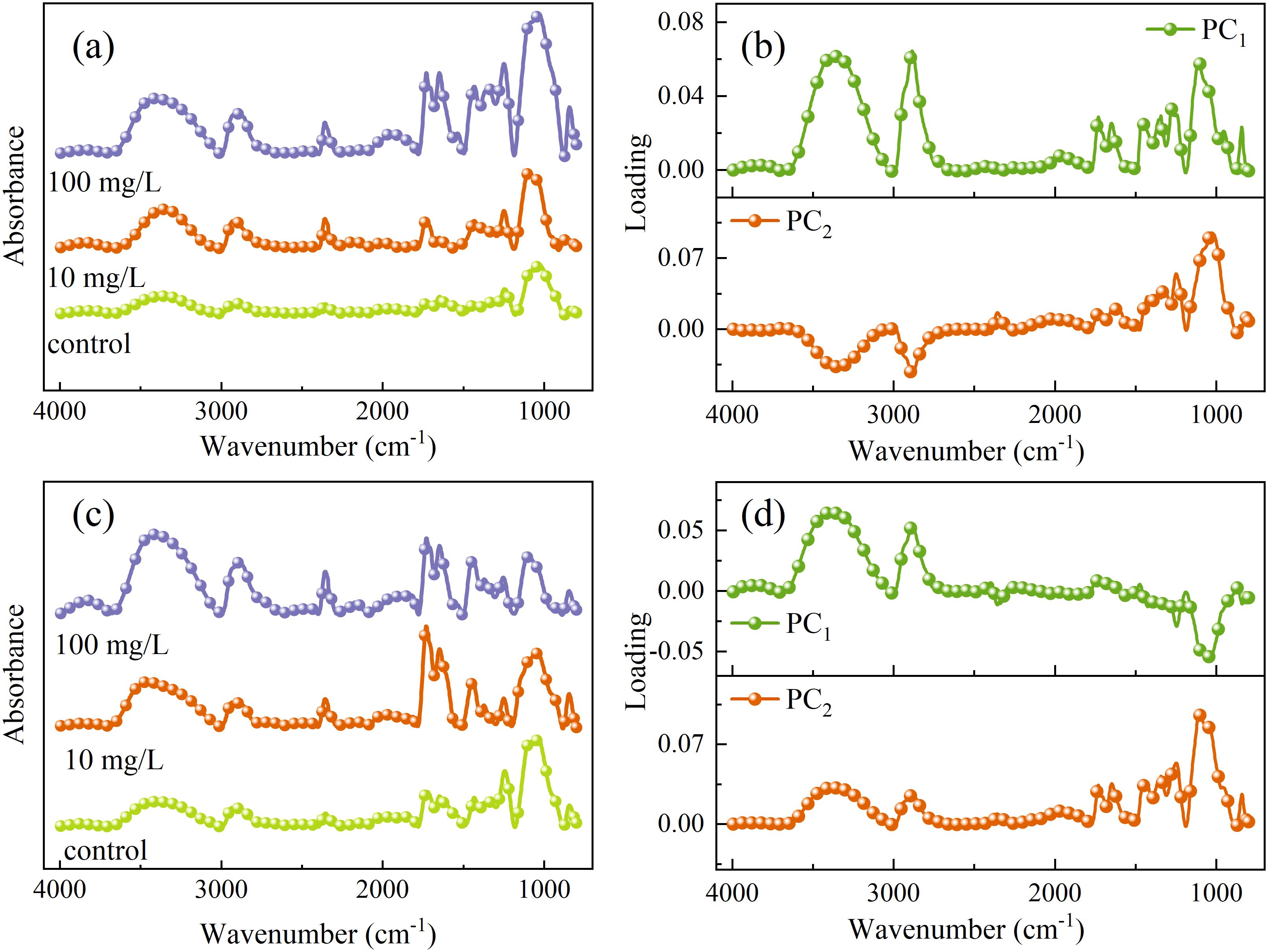 Four-panel graphic showing absorbance and loading data. Panel (a) displays absorbance at concentrations 100 milligrams per liter, 10 milligrams per liter, and control over wavenumbers 4000 to 1000 per centimeter. Panel (b) shows loadings for principal components one and two. Panels (c) and (d) mirror (a) and (b) respectively. Different colors represent varying concentrations and principal components.