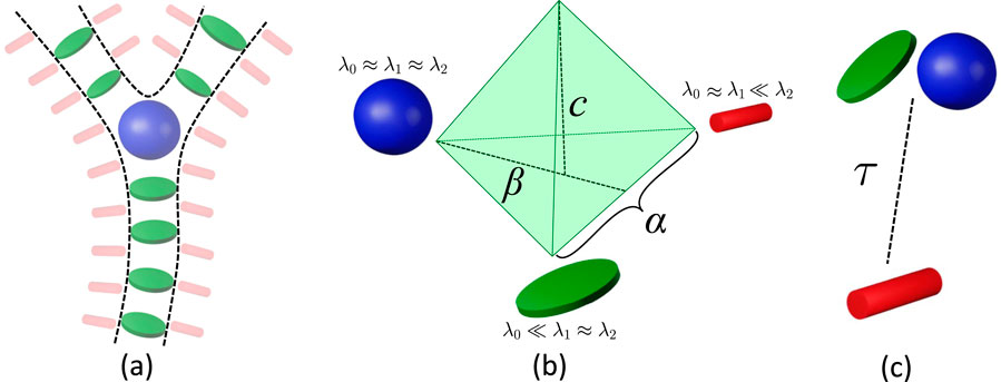 Diagram illustrating three concepts labeled (a), (b), and (c). In (a), a blue sphere is in a bifurcated structure lined with pink rods and green ellipses. In (b), geometric relations between a blue sphere, green ellipse, and red cylinder are represented by a green polyhedral shape labeled with angles α, β, and side c, with text indicating λ₀ is approximately equal to λ₁ and λ₂. In (c), a similar arrangement includes a dashed line labeled τ, with a blue sphere, green ellipse, and red cylinder.