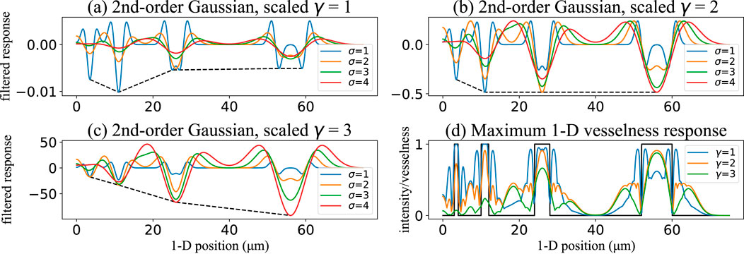Graphs showing the filtered response and intensity in relation to 1-D position (micrometers) for various Gaussian scales. Panels (a-c) depict filtered responses using 2nd-order Gaussian functions with scales γ = 1, 2, 3 and parameters σ = 1, 2, 3, 4. Panel (d) displays the maximum 1-D vesselness response for γ = 1, 2, 3. Each line represents different σ values, showing fluctuations across positions.