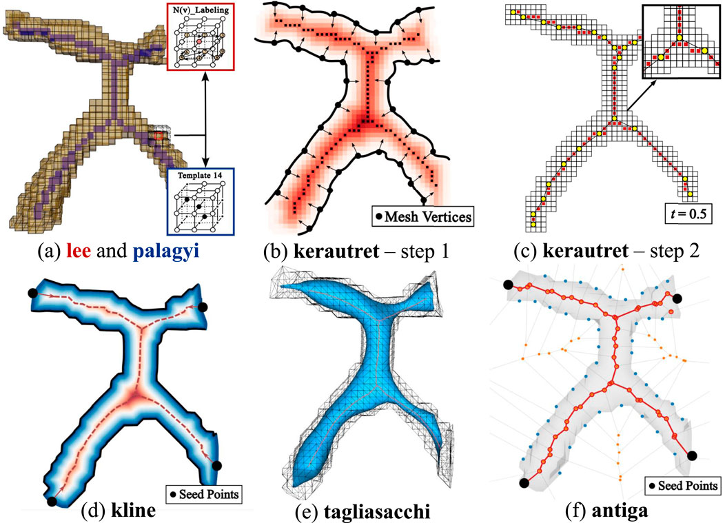Comparison of six algorithms for network-like structure analysis. (a) Lee and Palagyi visualization using labeling templates. (b) Kerautret step 1 shows mesh vertices within a red gradient. (c) Kerautret step 2 with a grid overlay and highlighted points. (d) Kline displays seed points along central lines. (e) Tagliasacchi features a blue skeletal mesh structure. (f) Antiga illustrates seed points with red pathways. Each panel demonstrates different computational methods.