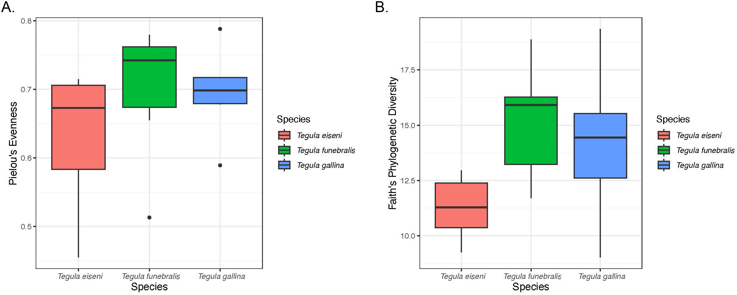 Box plots comparing three species: Tegulaeiseni, Tegulafunebralis, and Tegulagallina. Panel A shows Pielou's Evenness, with Tegulagallina having the highest median. Panel B shows Faith's Phylogenetic Diversity, with Tegulafunebralis having the highest median. Different colors represent each species: red for Tegulaeiseni, green for Tegulafunebralis, and blue for Tegulagallina.