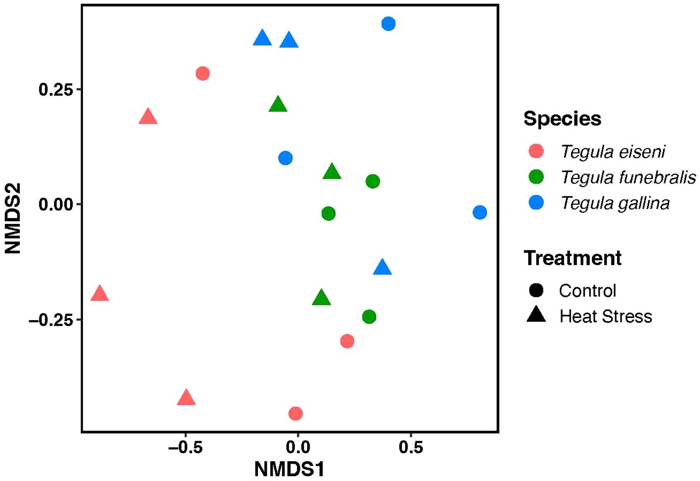 Scatter plot illustrating NMDS analysis with axes NMDS1 and NMDS2. Points represent three species: *Tegula eiseni* (red), *Tegula funebralis* (green), and *Tegula gallina* (blue). Shapes indicate treatment: circles for control and triangles for heat stress.