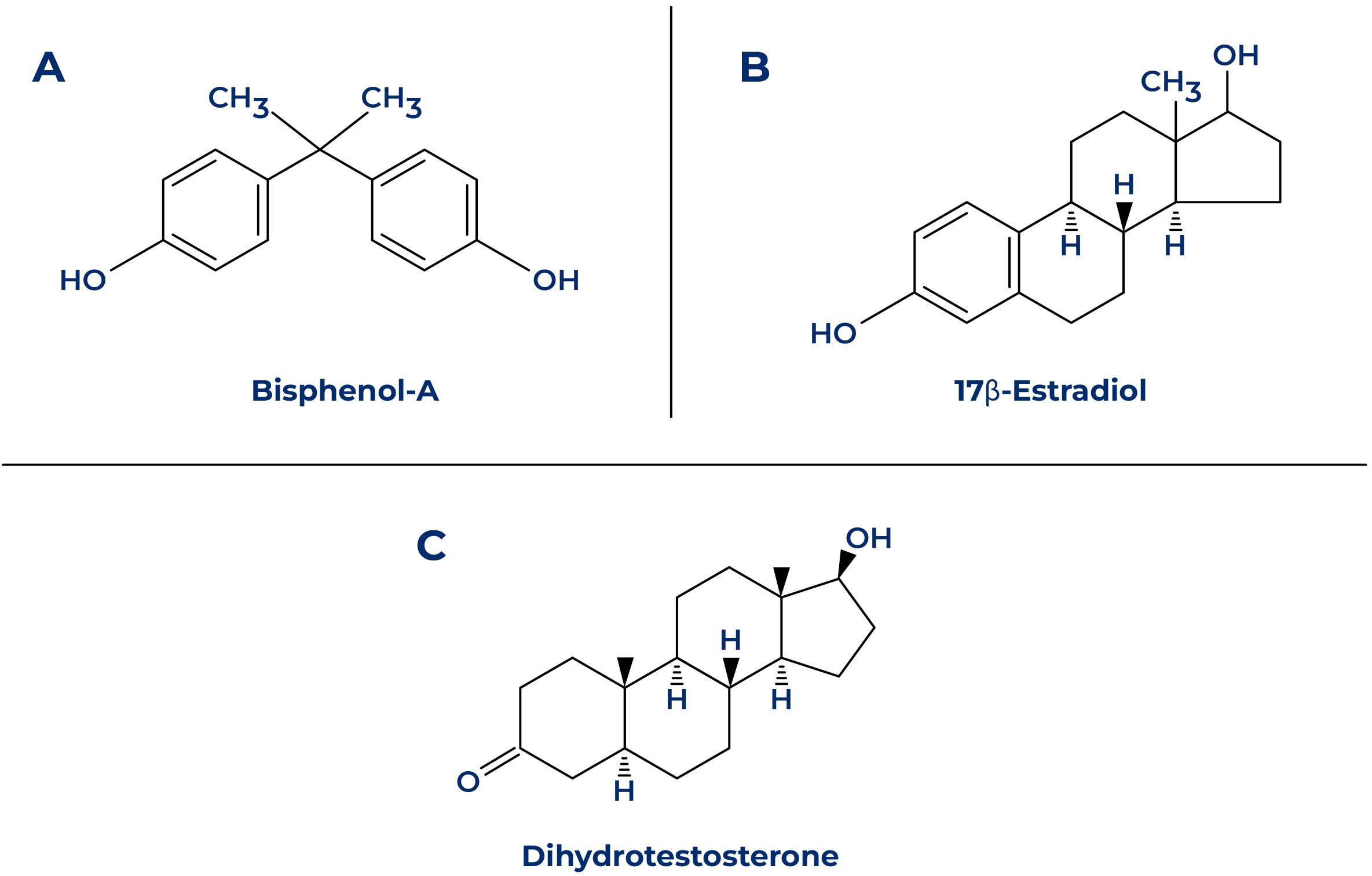 Chemical structure diagrams of three compounds. A: Bisphenol-A features two benzene rings linked by a carbon bridge with hydroxyl groups. B: 17β-Estradiol shows a steroid structure with hydroxyl groups. C: Dihydrotestosterone is depicted with its steroid framework, including a ketone and hydroxyl group.