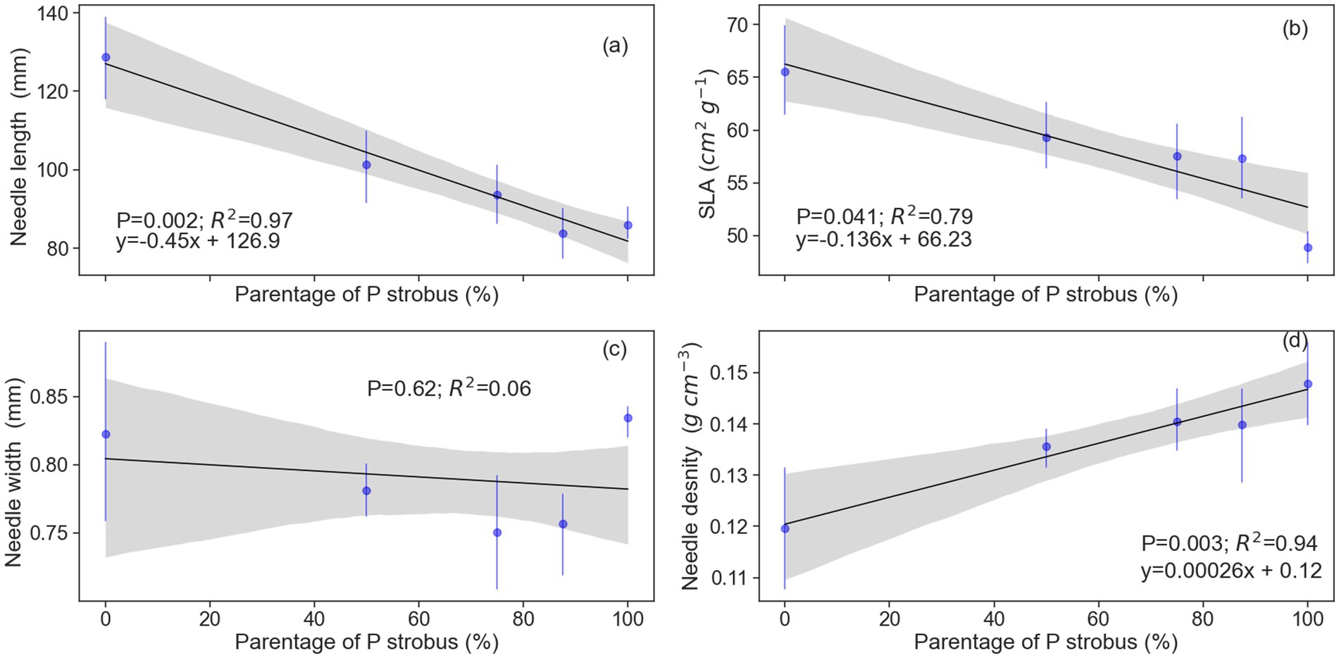 Four scatter plots show the relationship between needle traits and percentage of P. strobus. (a) Needle length decreases with a strong correlation (R²=0.97). (b) Specific leaf area (SLA) decreases moderately (R²=0.79). (c) Needle width shows little correlation (R²=0.06). (d) Needle density increases with a strong correlation (R²=0.94). Data points depict trends with regression lines and confidence intervals.