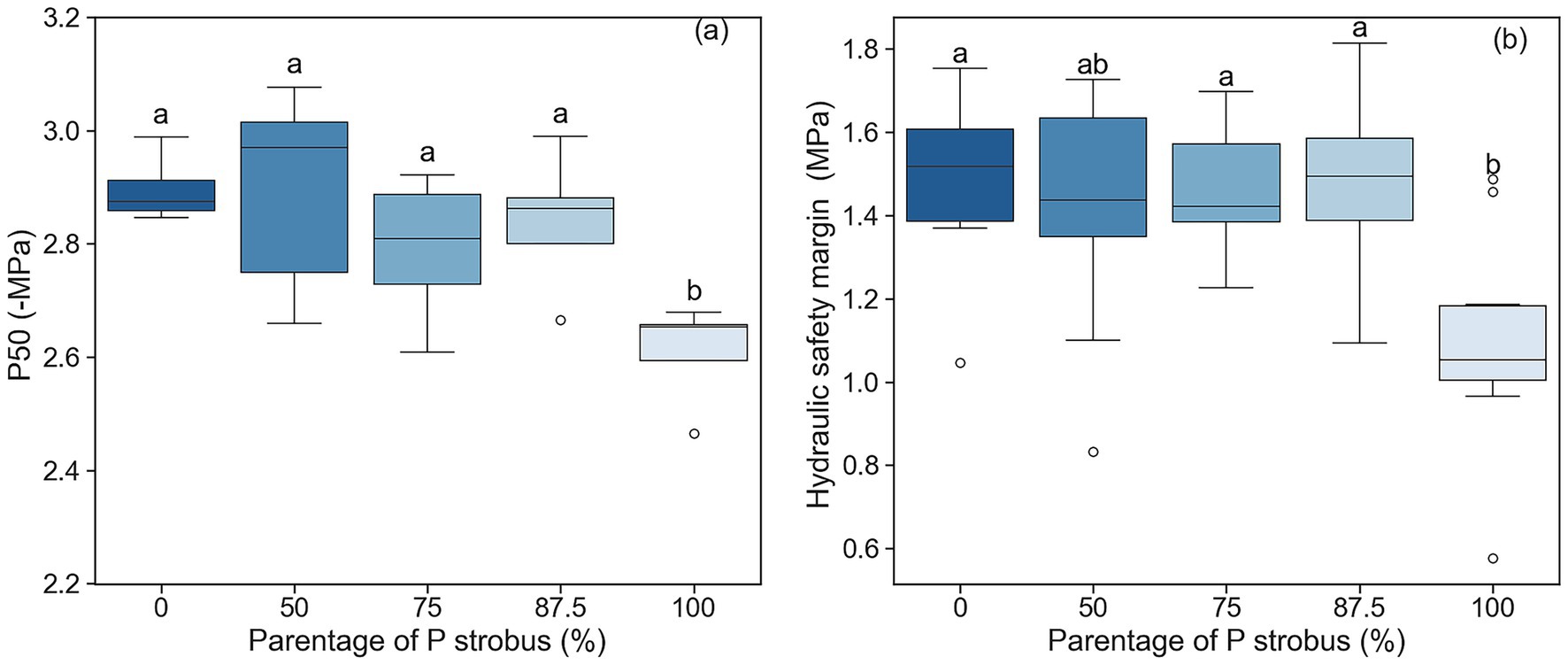 Two box plots comparing tree data at different percentages of P. strobus. Panel (a) shows P50 values ranging from 2.6 to 3.2 megapascal. Panel (b) illustrates hydraulic safety margin values varying from 0.6 to 1.8 megapascal. Different letter annotations indicate statistical group differences.