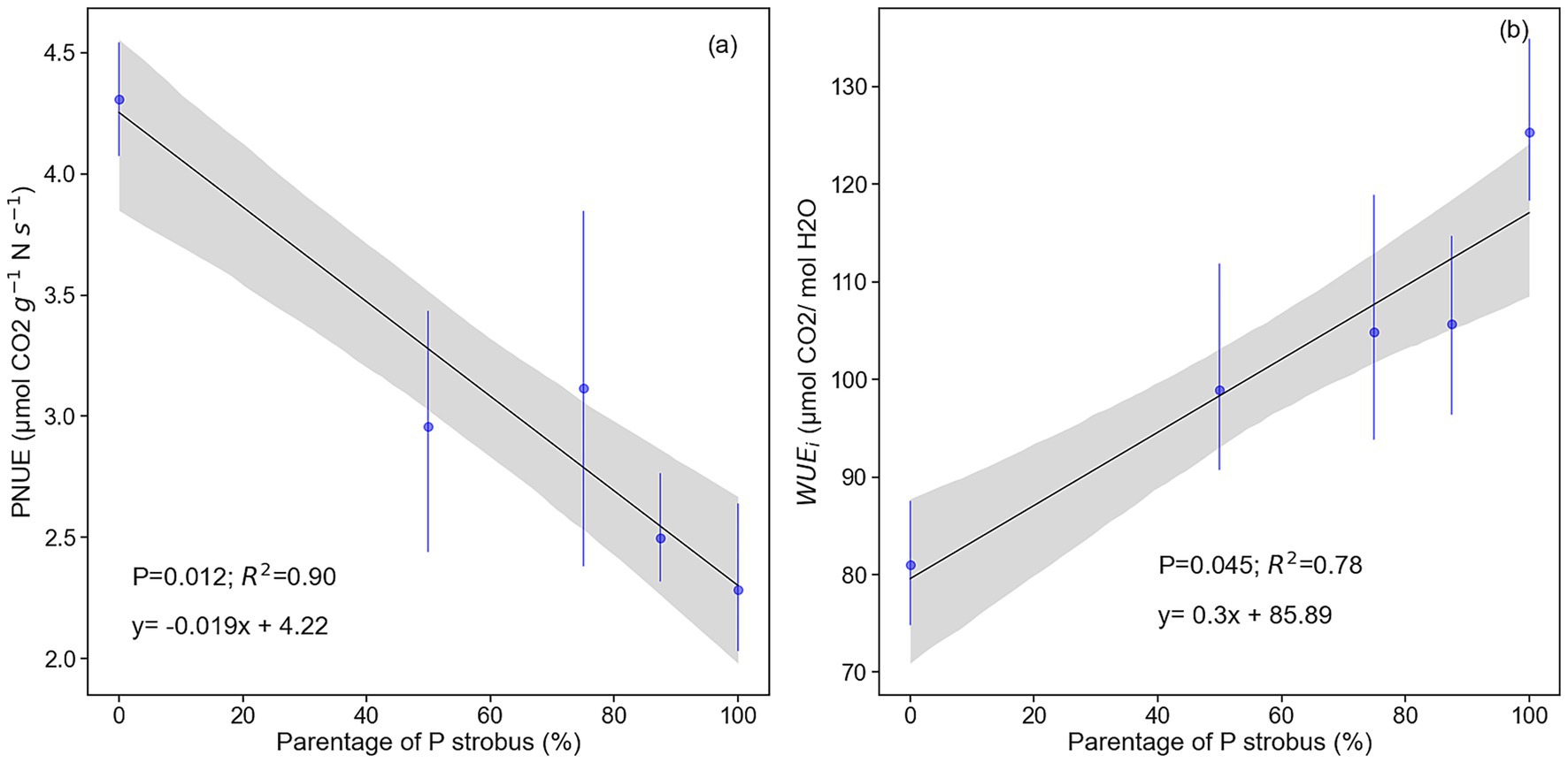 Two scatter plots show relationships with the percentage of P. strobus. Plot (a) depicts a negative correlation between PNUE (photosynthetic nitrogen use efficiency) and P. strobus percentage, with a regression line (y = -0.019x + 4.22), P = 0.012, R² = 0.90. Plot (b) shows a positive correlation between WUEi (inherent water use efficiency) and P. strobus percentage, with a regression line (y = 0.3x + 85.89), P = 0.045, R² = 0.78. Both plots include shaded confidence intervals and error bars on data points.