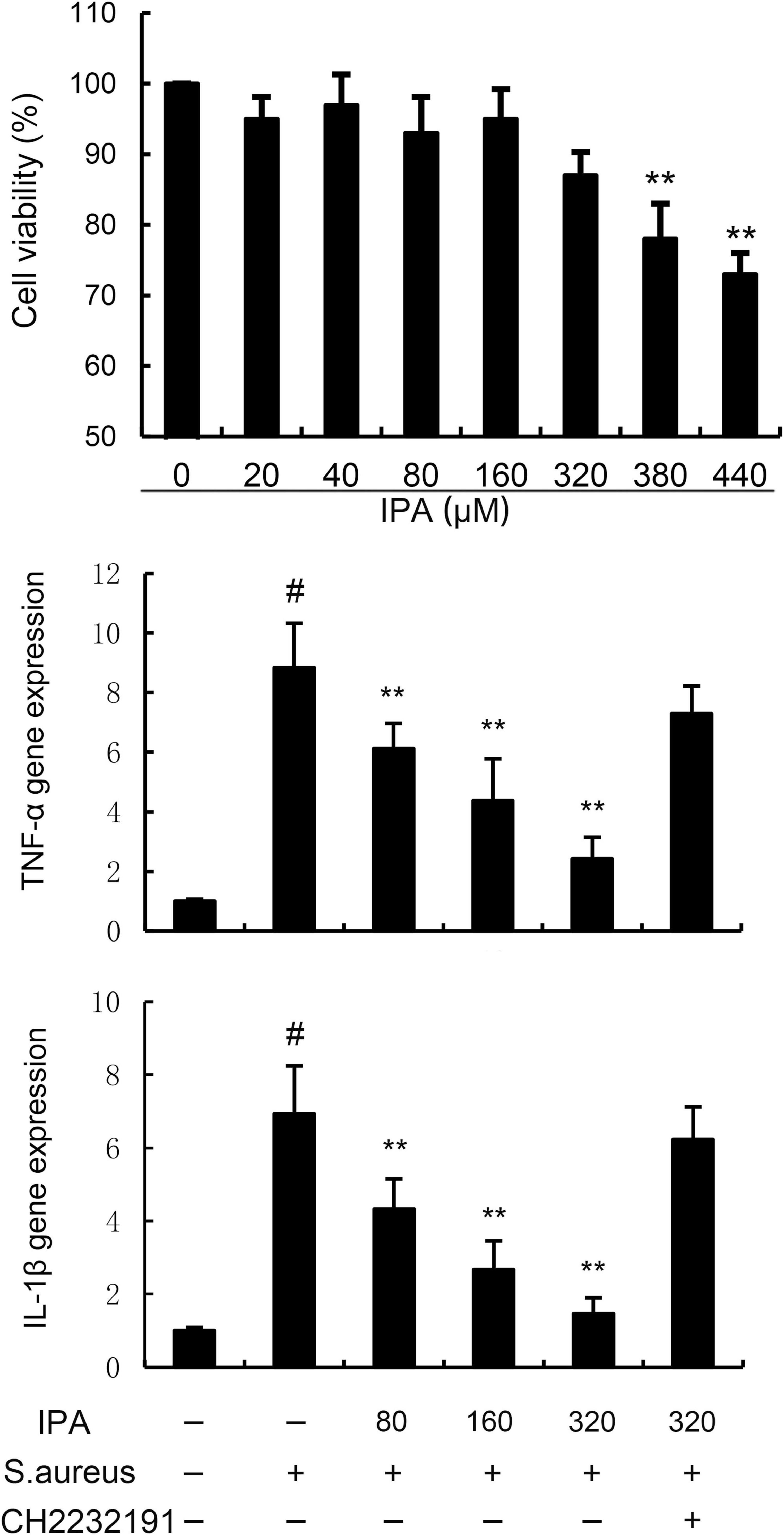 Bar graphs showing the effects of IPA on cell viability and gene expression. The top graph displays cell viability at varying IPA concentrations from 0 to 440 micromolar, with notable decreases at 380 and 440 micromolar. The middle graph illustrates TNF-alpha gene expression, peaking without IPA and S. aureus, and decreasing with IPA presence at 80, 160, and 320 micromolar. The bottom graph shows IL-1beta gene expression with a similar pattern, peaking without IPA and S. aureus, and reduced at the same IPA concentrations. Significant changes are marked by hashtags and asterisks.