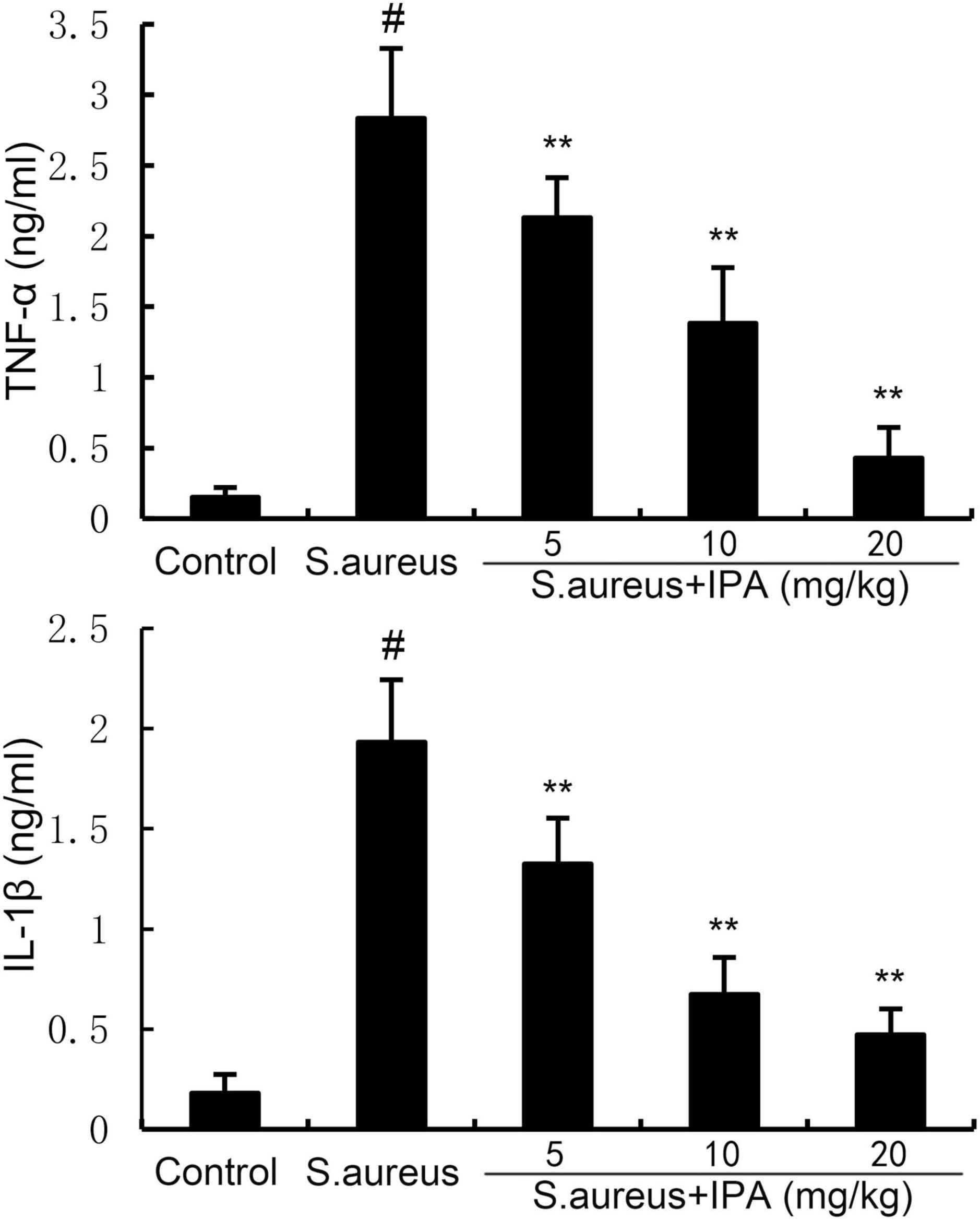 Two bar graphs showing TNF-alpha and IL-1beta levels in different groups. Both graphs have five groups: Control, S. aureus, and S. aureus with varying doses of IPA (5, 10, 20 mg/kg). The S. aureus group shows the highest levels in both graphs, with reduced levels in the S. aureus plus IPA groups. Significant differences are indicated by # and **.
