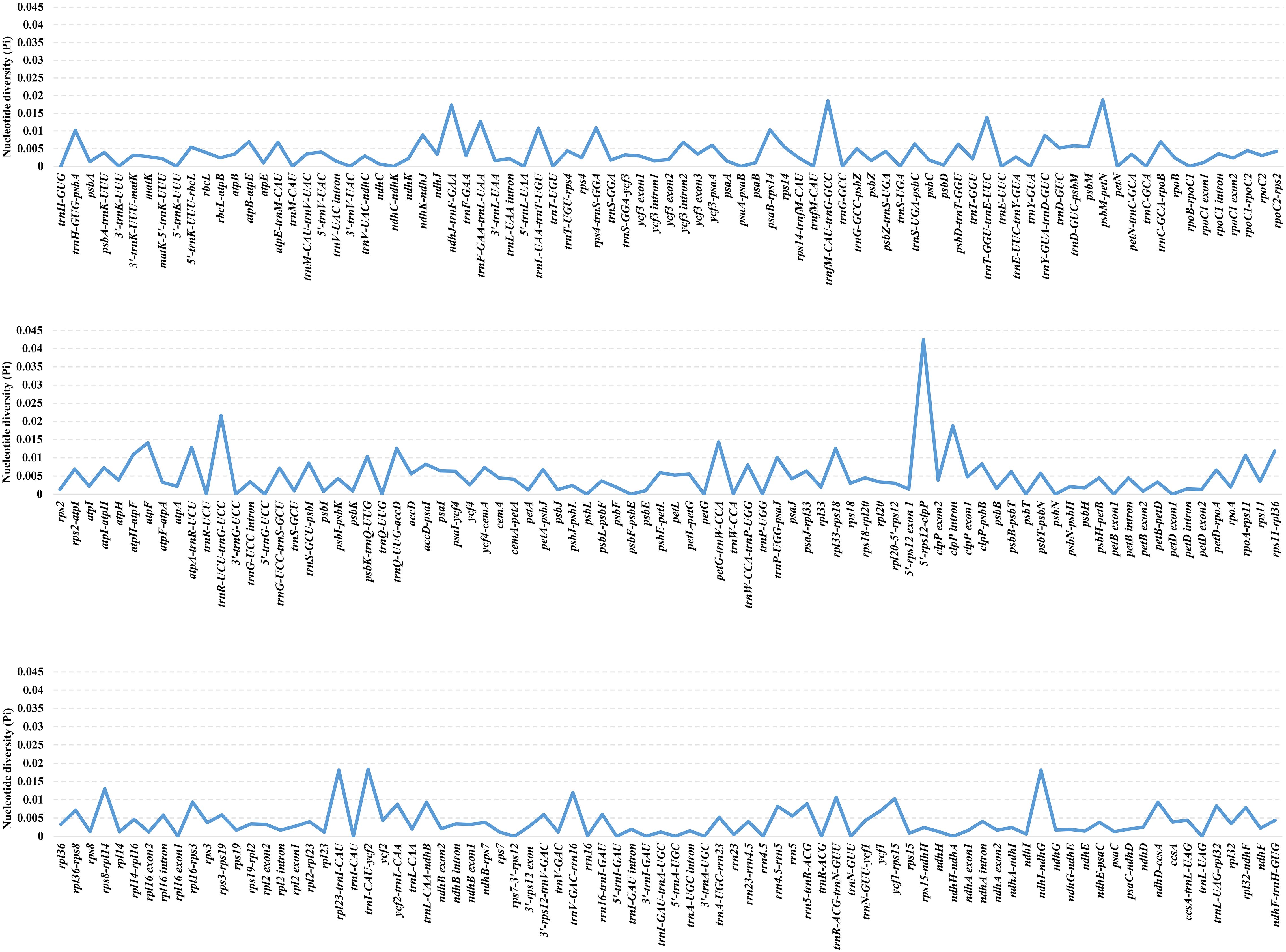 Line graph depicting nucleotide diversity values across numerous genes. Three separate sections display peaks and valleys, each labeled with gene names along the x-axis. The y-axis ranges from 0.000 to 0.045, showing fluctuations in nucleotide diversity across different genes.