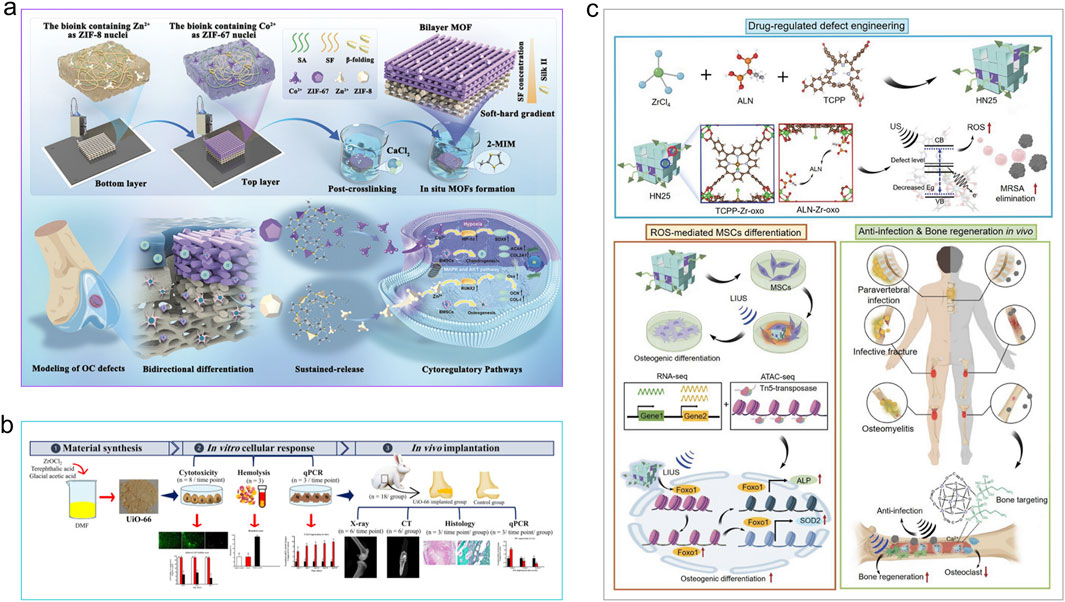 Scientific infographic illustrating biomaterial processes for osteochondral defect modeling, cellular differentiation, and drug-regulated defect engineering. Panel (a) shows the layer printing of bioinks and formation of metal-organic frameworks for sustained release. Panel (b) details material synthesis and testing methods, including cytotoxicity and implantation studies. Panel (c) depicts drug regulation mechanisms for infection elimination and bone regeneration, highlighting molecular interactions and osteogenic differentiation pathways. Each section connects to cellular or biological outcomes, illustrated with diagrams and pathways.
