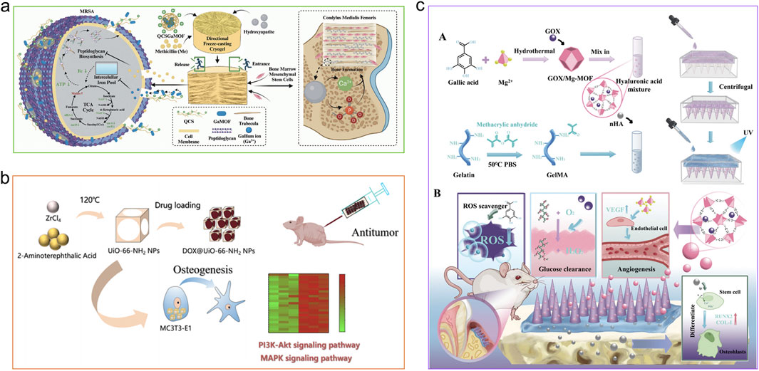 A multi-part scientific illustration explains various biochemical and biological processes. Panel (a) depicts the release of nanomaterials in bacterial and bone environments for promoting osteogenesis. Panel (b) shows drug delivery using nanoparticles for osteogenesis and antitumor effects, including signaling pathways. Panel (c) illustrates the synthesis of a multifunctional hydrogel system for enhancing glucose clearance, promoting angiogenesis, and osteoblast differentiation. Each panel comprises diagrams with molecular structures, pathways, and experimental setups, highlighting the integration of materials and biological interactions.