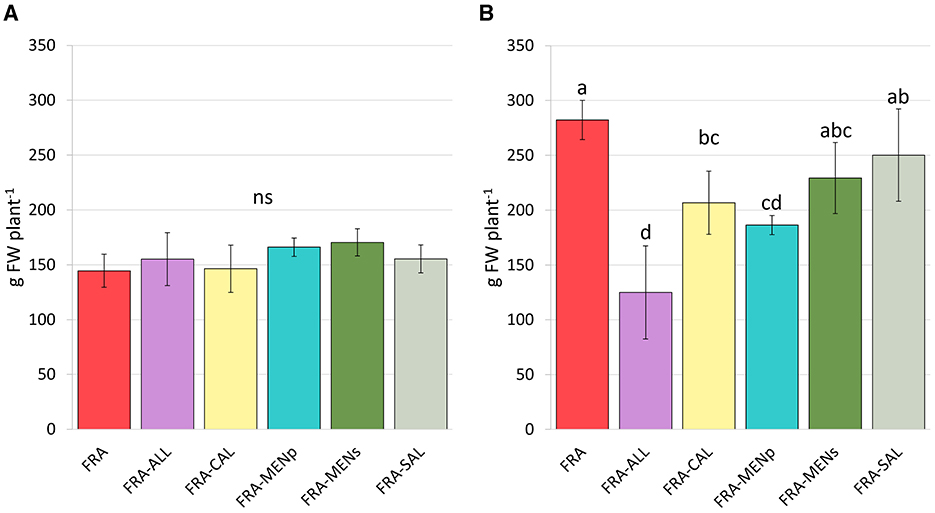 Bar charts comparing plant fresh weight (g FW plant^–1) across six categories: FRA, FRA-ALL, FRA-CAL, FRA-MENp, FRA-MENs, and FRA-SAL. The left chart shows no significant differences (ns) among categories, with weights around 150 to 200 grams. The right chart indicates significant differences with letters denoting groups: FRA (a) has the highest weight, followed by FRA-SAL (ab), FRA-MENs (abc), FRA-MENp (cd), FRA-CAL (bc), and FRA-ALL (d). Error bars represent variability.