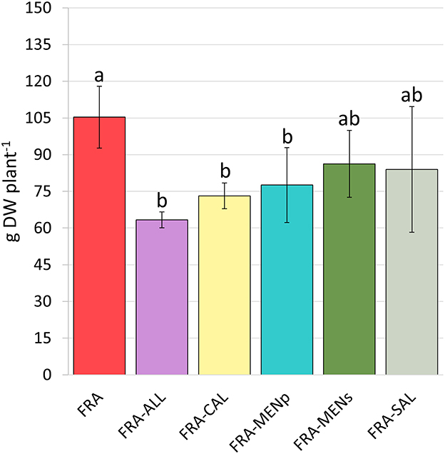 Bar chart showing total biomass (g DW plant^–1) of strawberry plants after the second cropping year under different conditions. Significant biomass reduction in intercropping compared to monocropping plants.