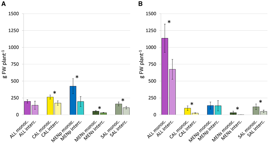 Bar charts compare herb total production, expressed as grams fresh weight (g FW plant^–1) of different plant treatments. The left chart shows lower weights across treatments compared to the right chart. Asterisk on the top between 2 bars indicates significant differences according to t-test.