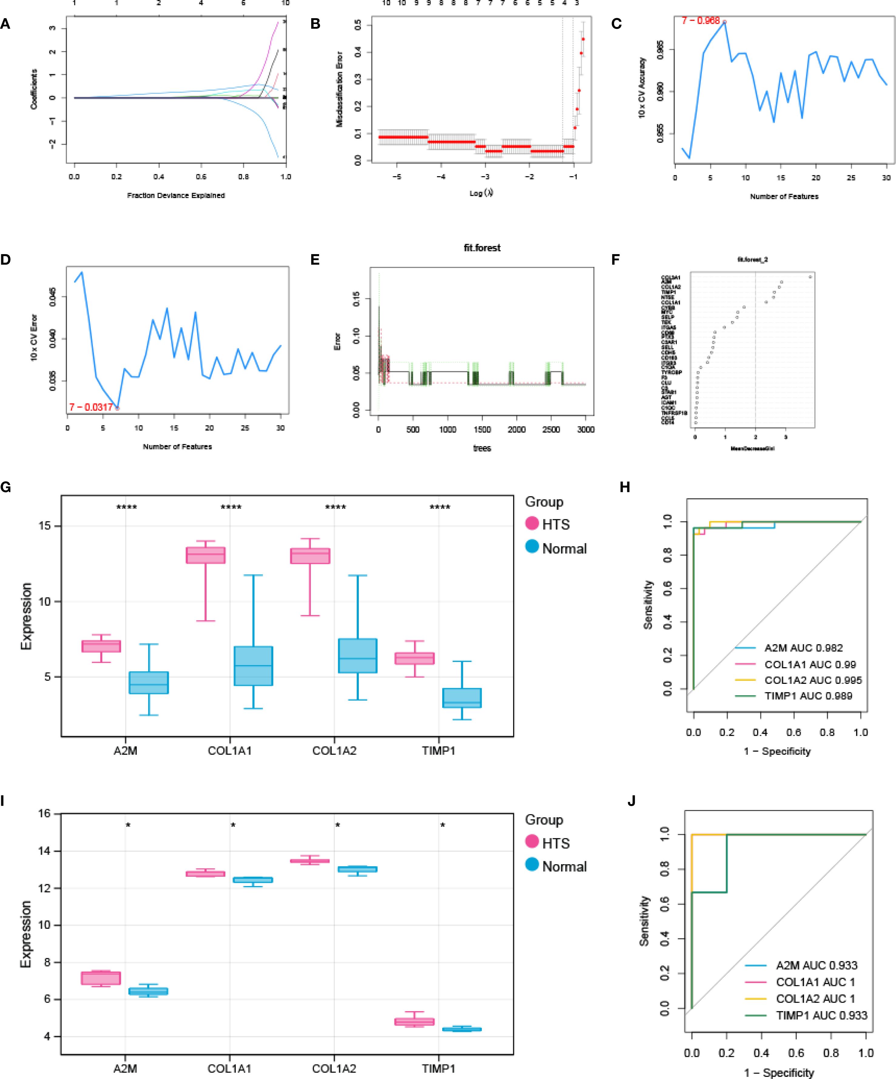 A collection of ten panels feature various data visualizations related to statistical analysis and gene expression comparisons.  A: Line graph showing coefficients vs. fraction deviance explained. B: Plot of misclassification error against log lambda. C and D: Line graphs showing cross-validation error vs. number of features. E: Forest plot of error vs. number of trees. F: Bar chart of variable importance scores. G and I: Box plots comparing gene expression levels for A2M, COL1A1, COL1A2, and TIMP1 between HTS and Normal groups. H and J: ROC curves depicting performance metrics with AUC values for each gene.  Graphs support analysis of genetic data.