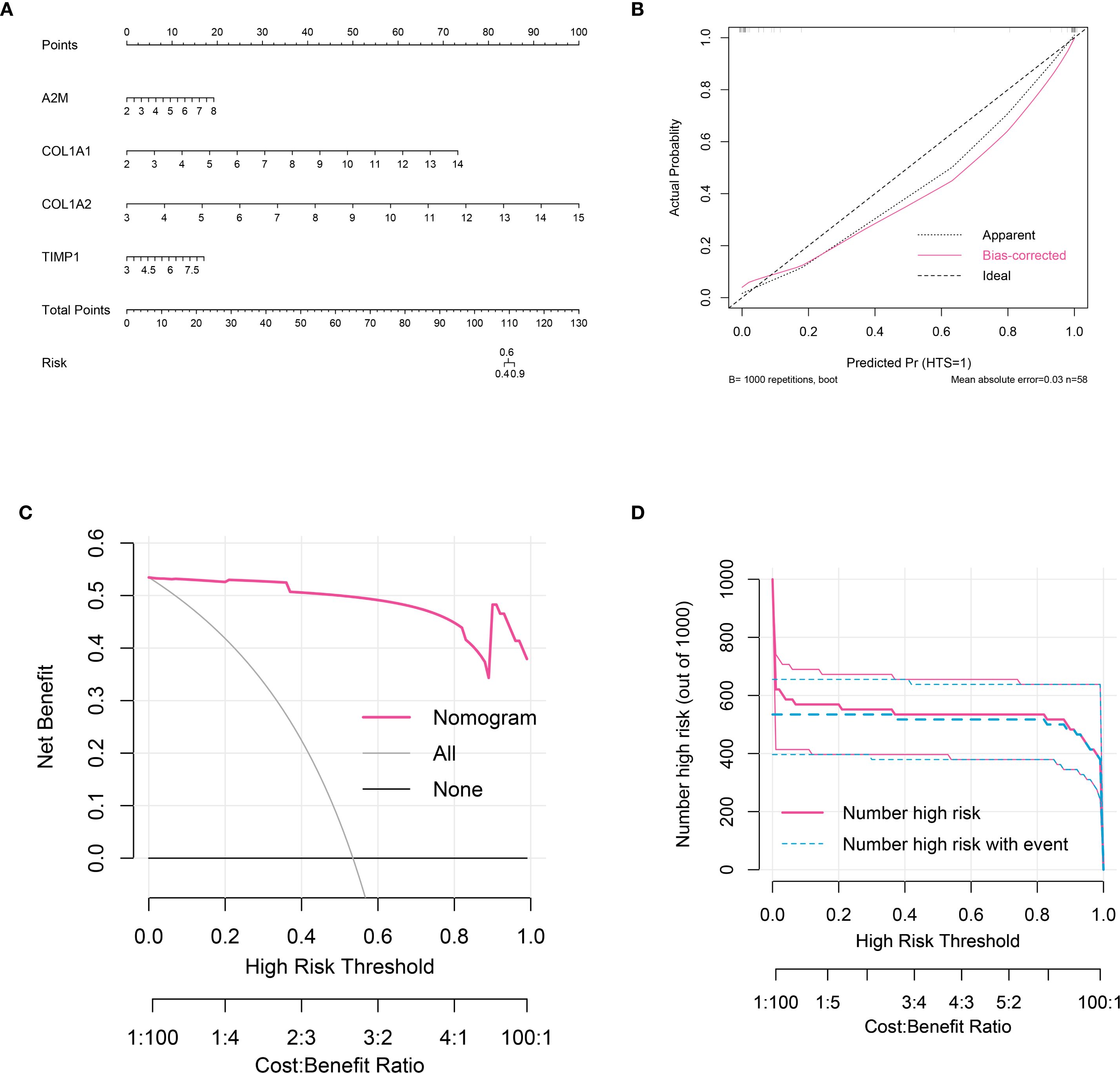 Panel A shows a nomogram for calculating risk based on factors like A2M, COL1A1, COL1A2, and TIMP1. Panel B features a calibration plot comparing predicted and actual probabilities. Panel C is a decision curve analysis indicating net benefit against high risk thresholds and cost-benefit ratios for different strategies. Panel D is a plot showing the number of high-risk individuals and those with events across various thresholds and ratios.