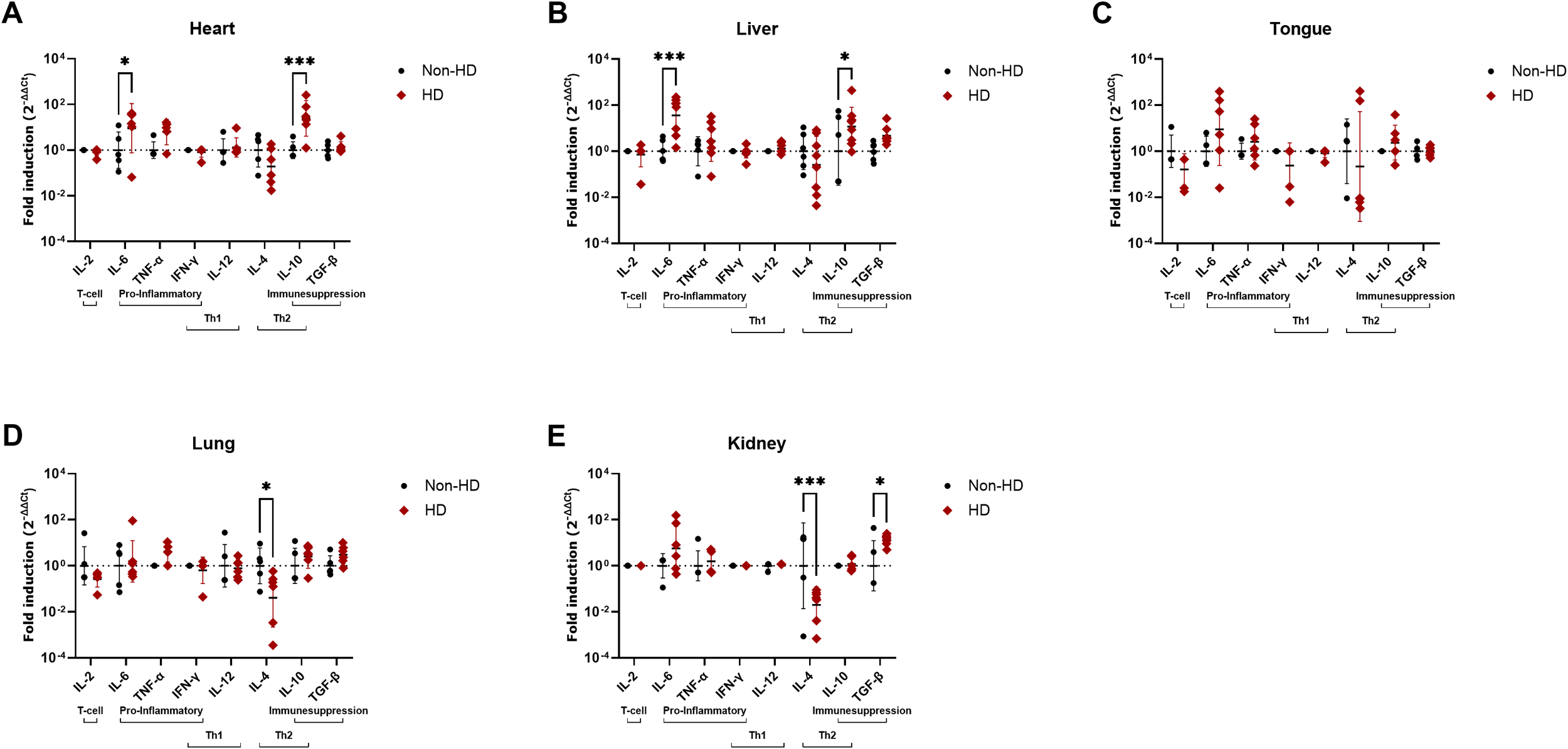 Five scatter plots compare cytokine fold induction levels across heart, liver, tongue, lung, and kidney tissues. Each plot shows non-HD (black circles) and HD (red diamonds) groups. Cytokines IL-2, IL-6, TNF-α, IFN-γ, IL-12, IL-4, IL-10, and TGF-β are measured. Statistical significant differences between samples from non-HD and HD animals are indicated on certain cytokines.