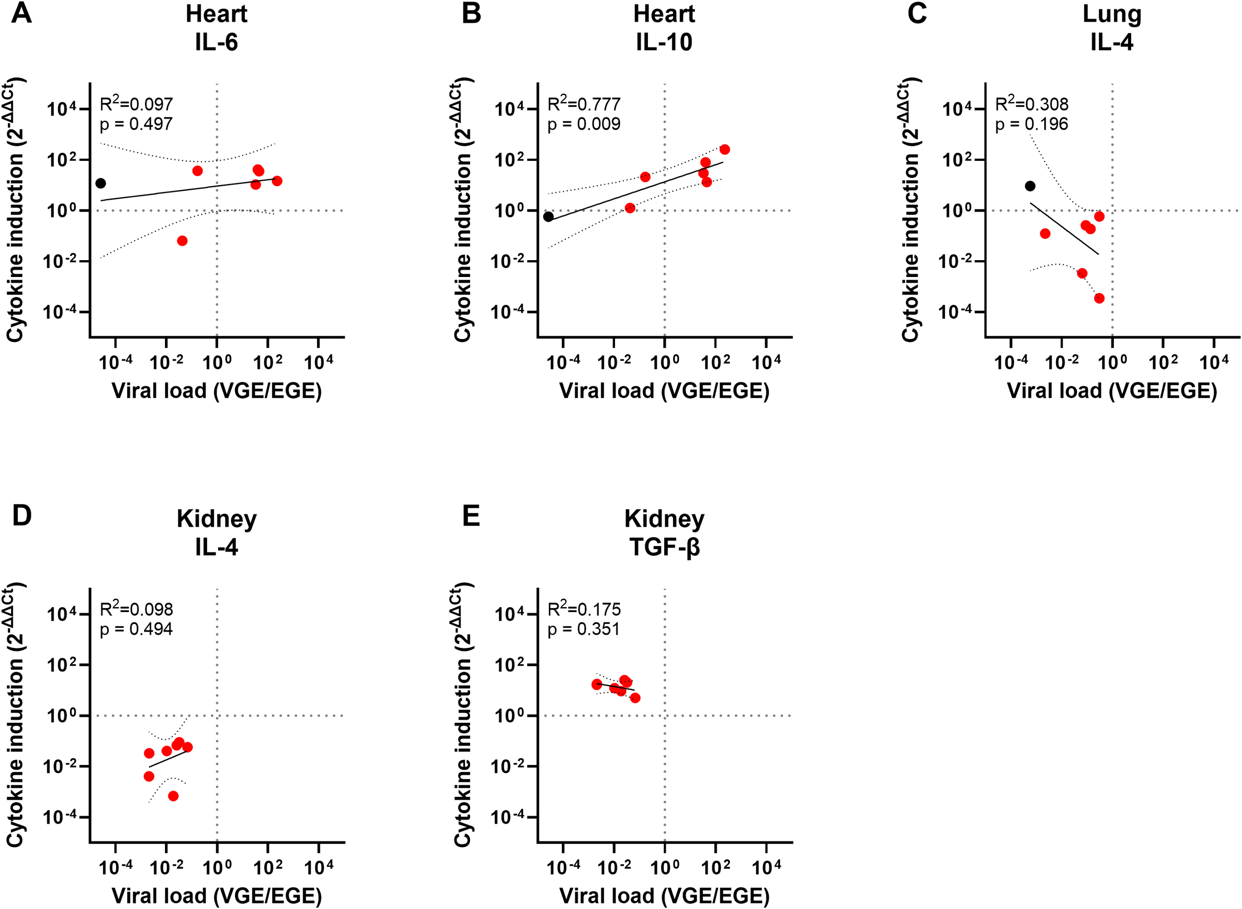Graphs showing the relationship between viral load and cytokine induction in organs for which PCA could not be performed. Panel A shows IL-6 in the heart, with poor correlation (R² = 0.097). Panel B shows IL-10 in the heart with strong correlation (R² = 0.777). Panel C illustrates IL-4 in the lung with moderate correlation (R² = 0.308). Panel D depicts IL-4 in the kidney with weak correlation (R² = 0.098). Panel E displays TGF-b in the kidney with low correlation (R² = 0.175). Data points marked in red indicate HD fatalities while points in black are controls. Accompanying p-values indicating statistical significance.