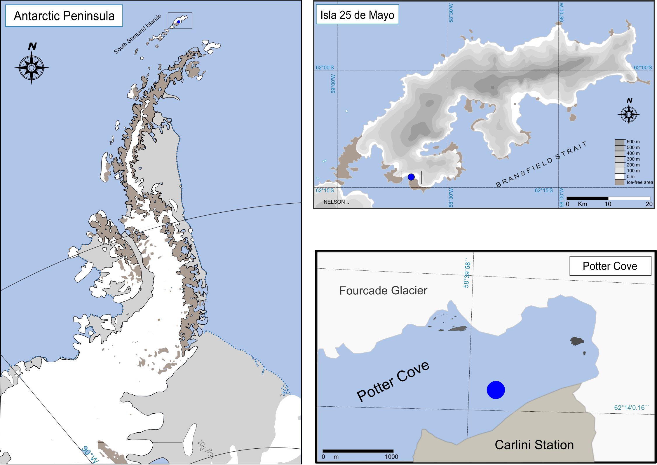 Map with three sections. The top left shows the Antarctic Peninsula with highlighted areas. The top right focuses on Isla 25 de Mayo and the Bransfield Strait, with elevation marked. The bottom right zooms in on Potter Cove, indicating Fourcade Glacier and Carlini Station. Each section includes a compass for orientation.