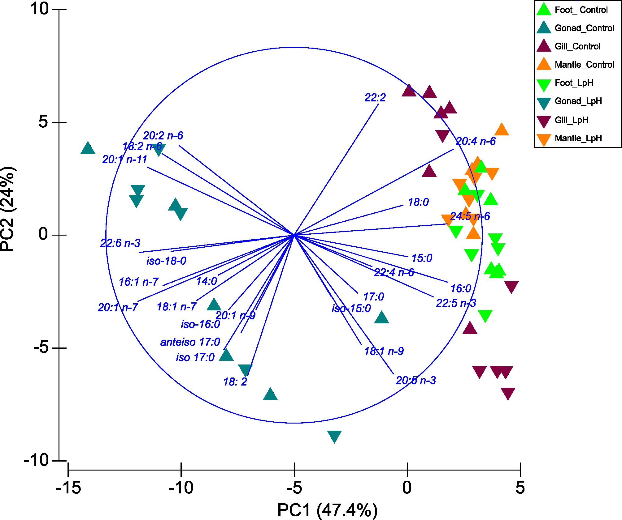 Principal Component Analysis (PCA) biplot displaying two principal components: PC1 (47.4%) and PC2 (24%). Colored triangles represent different sample groups: Foot, Gonad, Gill, Mantle for both Control and LpH conditions. Variables are represented by arrows within a circle indicating their contribution to the components. Each group has distinct positioning, highlighting variance among samples and conditions.