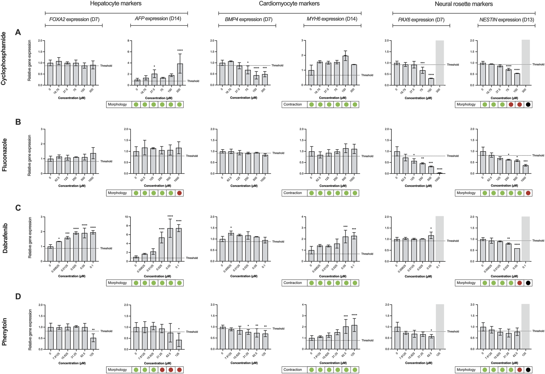 Bar charts display gene expression levels for hepatocyte, cardiomyocyte, and neural rosette markers under various drug treatments: Cyclophosphamide, Fluconazole, Dabrafenib, and Phenytoin. Each chart shows expression relative to concentration with a threshold line. Morphology and contraction indicators are below.