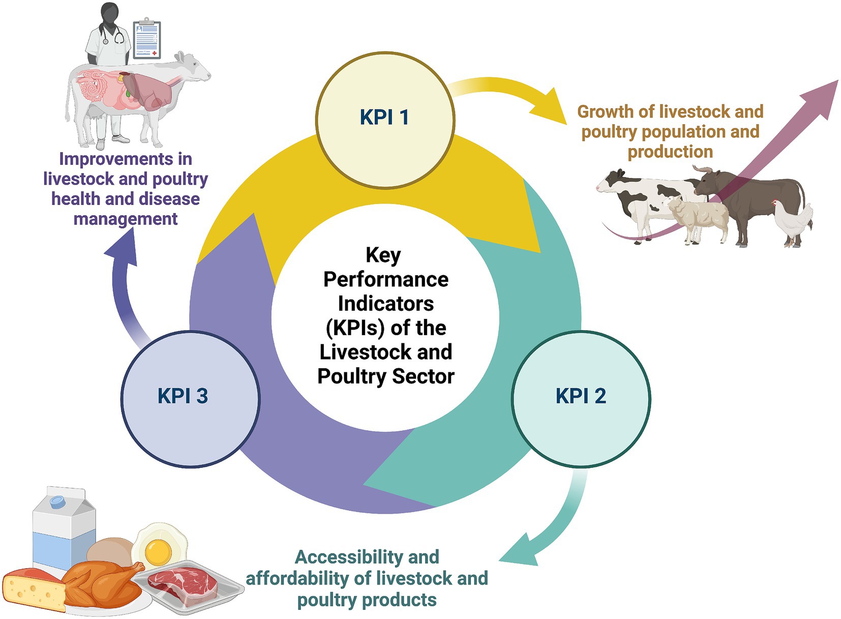 Circular infographic illustrating key performance indicators (KPIs) in the livestock and poultry sector. KPI 1 highlights growth in livestock and poultry population and production. KPI 2 emphasizes accessibility and affordability of related products. KPI 3 focuses on improvements in health and disease management. Arrows indicate a cyclical relationship. Images of animals and food products accompany the text for context.
