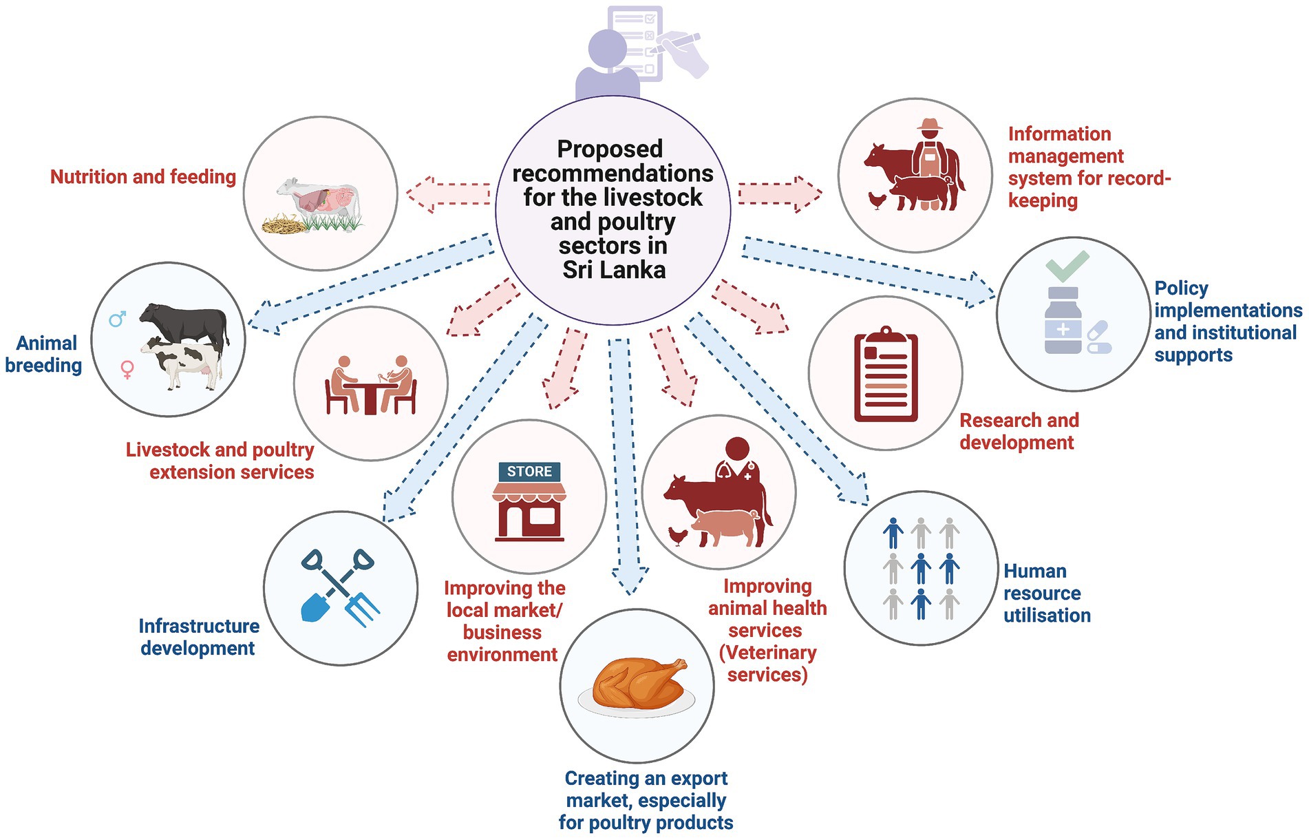 Diagram illustrating proposed recommendations for Sri Lanka's livestock and poultry sectors. Central circle lists recommendations connected by arrows to nine areas: nutrition and feeding, animal breeding, livestock services, market improvement, infrastructure, export creation, health services, information management, policy support, research, and human resource utilization.
