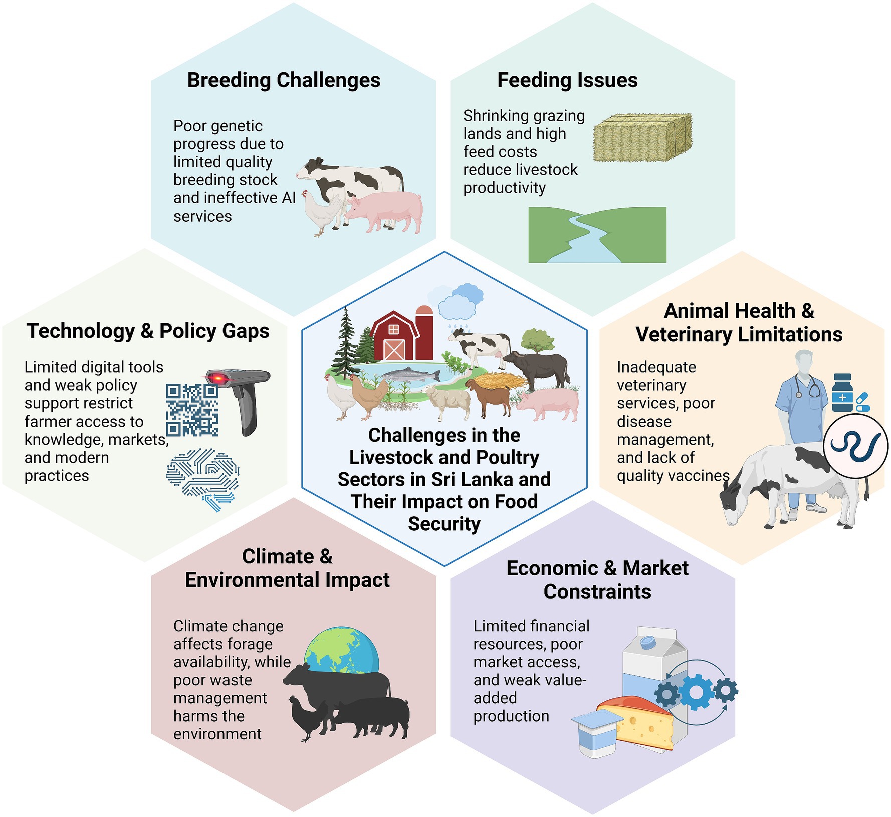 Hexagonal infographic illustrating challenges in the livestock and poultry sectors in Sri Lanka and their impact on food security. Includes breeding challenges, feeding issues, technology and policy gaps, animal health and veterinary limitations, climate and environmental impact, and economic and market constraints, each with corresponding icons and brief descriptions. Central image depicts various farm animals.