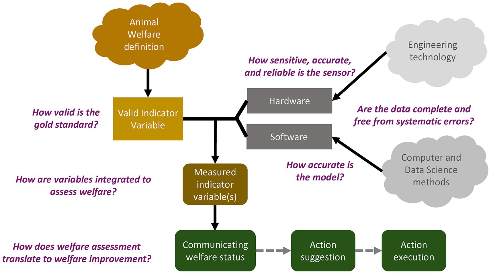 Flowchart visualizing the process of assessing animal welfare. It begins with