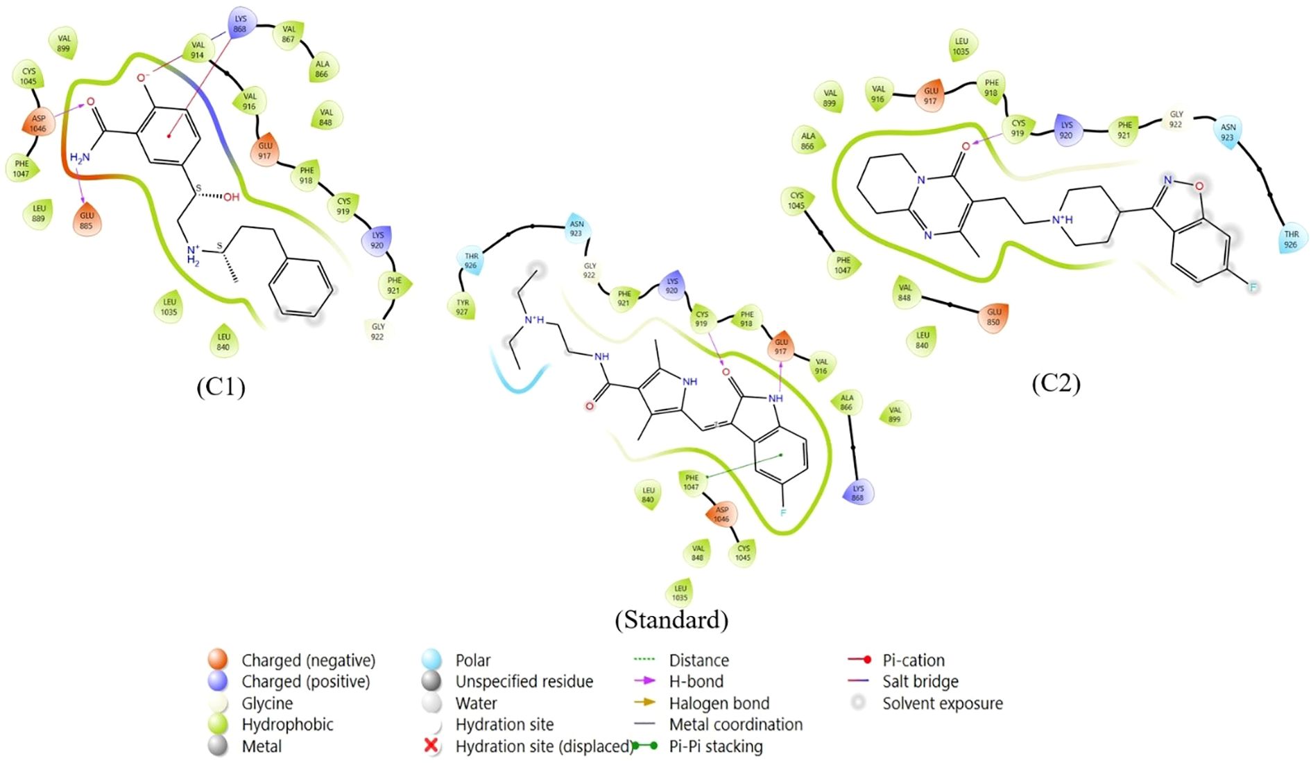 Diagram showing molecular interactions labeled C1, C2, and Standard. Key elements include charged residues, polar regions, hydrophobic areas, and specific bonds like hydrogen and halogen. A color-coded legend identifies charge status, bond type, and interaction specifics.