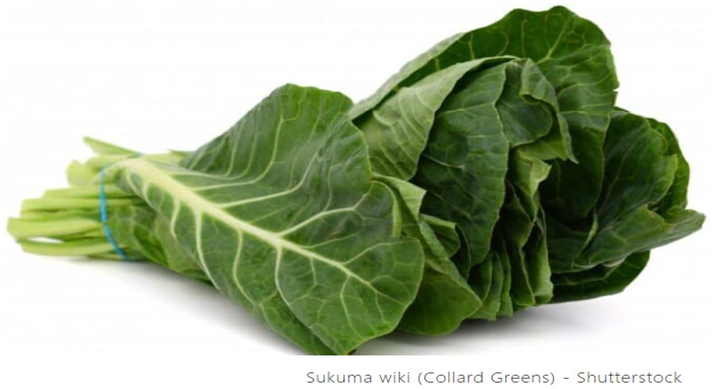 A bundle of fresh collard greens with vibrant green leaves, bound together with a rubber band. The leaves have prominent white veins and are neatly stacked.