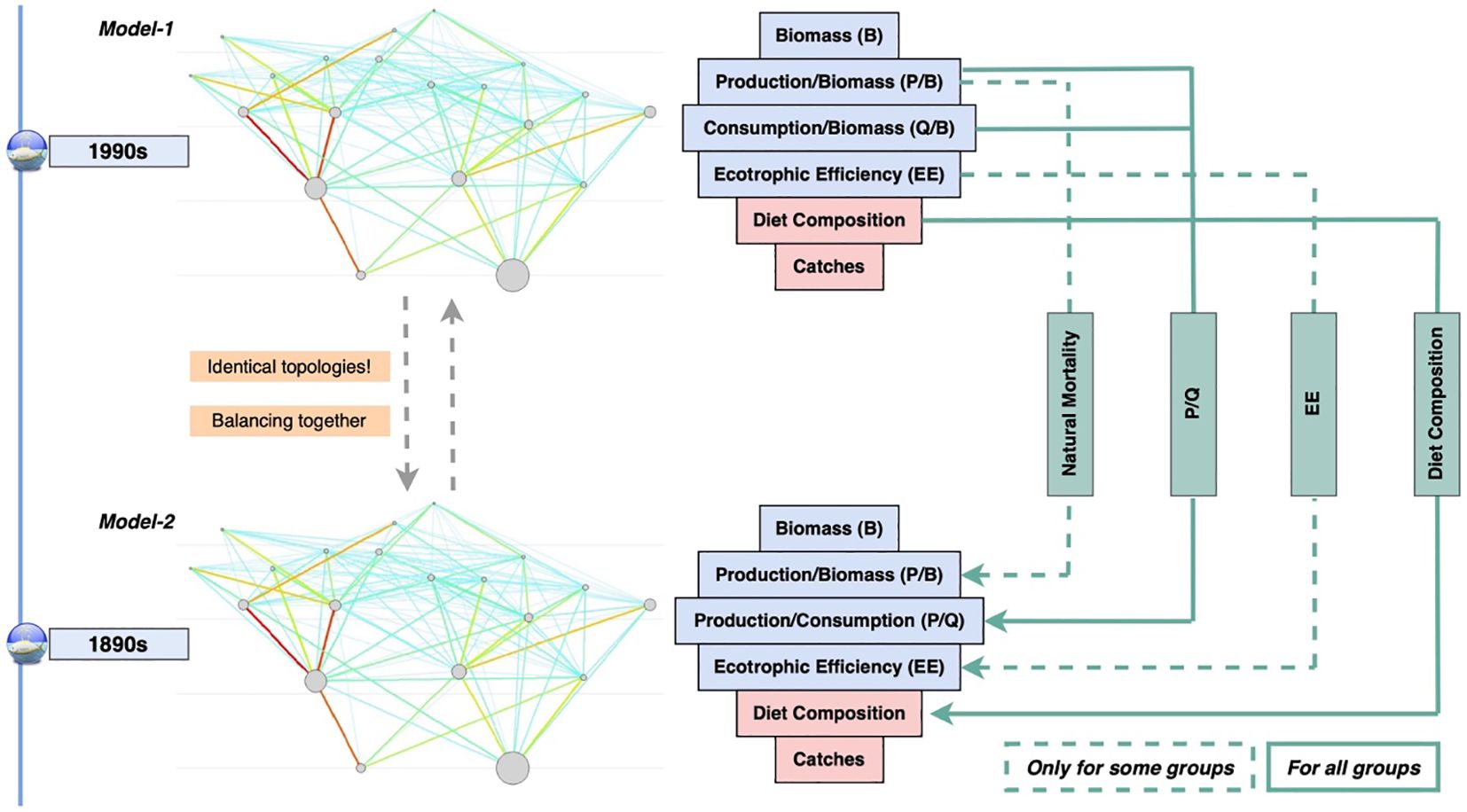 Comparison diagram of two ecosystem models from the 1990s and 1890s, showing identical topologies. Both models display network diagrams with nodes connected by lines, indicating ecosystem interactions. The right side lists variables such as Biomass, Production/Biomass, Consumption/Biomass, Ecotrophic Efficiency, Diet Composition, and Catches, linking to Natural Mortality, P/Q, EE, and Diet Composition. Dashed lines differentiate applicability to all or specific groups. The text “Identical topologies! Balancing together” emphasizes model similarities.