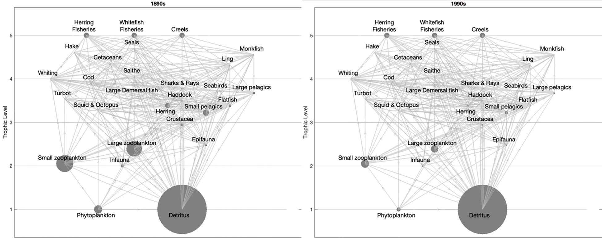 Two network diagrams compare marine food webs from the 1890s and 1990s. Both diagrams display trophic levels from one to five. Nodes represent species or groups, with lines indicating interactions. Notable connections include phytoplankton, zooplankton, and detritus at the base, leading to a range of fish, marine mammals, and fisheries. The overall structure appears densely interconnected.
