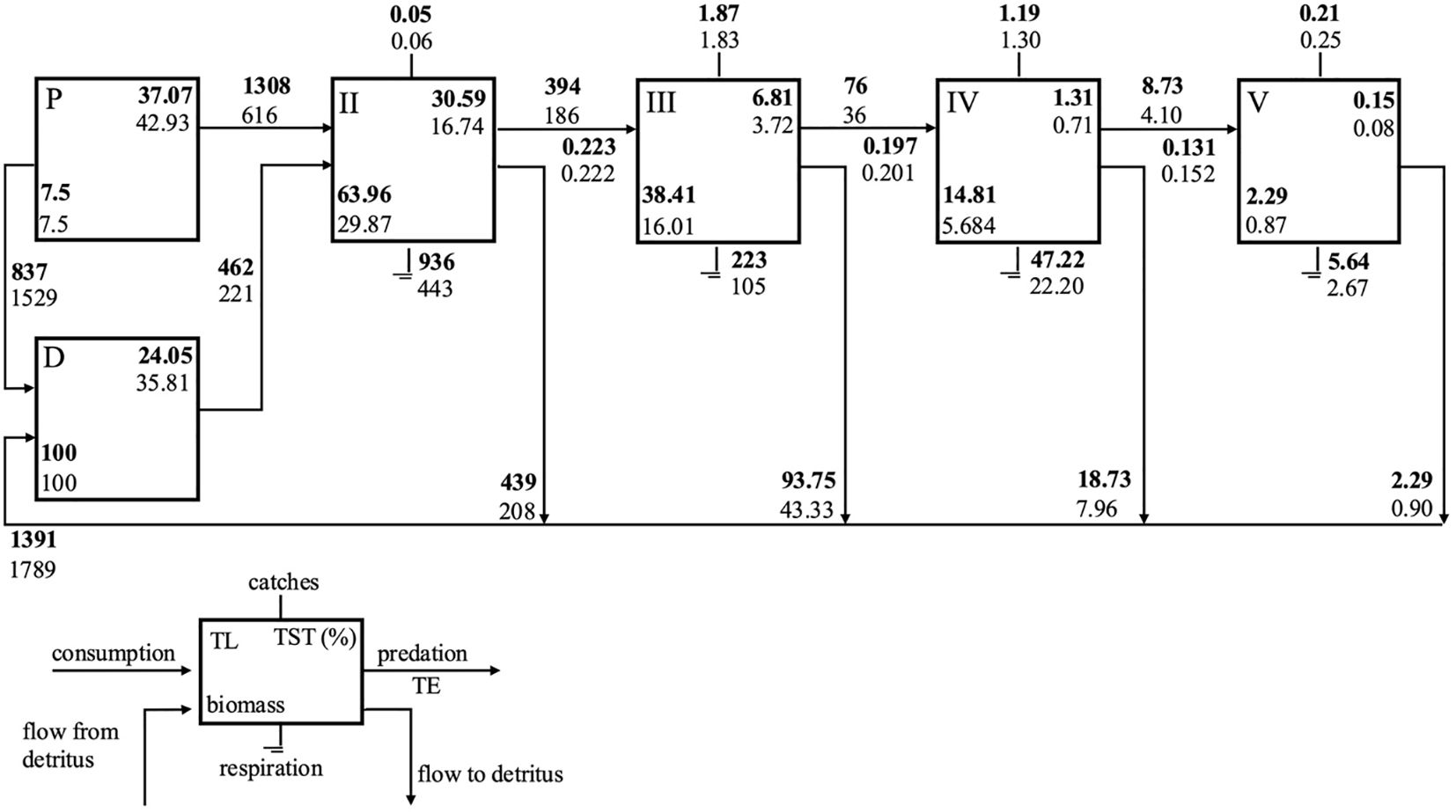 Flow diagram showing trophic levels with five compartments labeled P, II, III, IV, and V. Each box contains figures for consumption, biomass, respiration, and more. Arrows indicate the flow between compartments, including flow to detritus. Details on catch, trophic efficiency, predation, and respiration are shown in the lower panel.