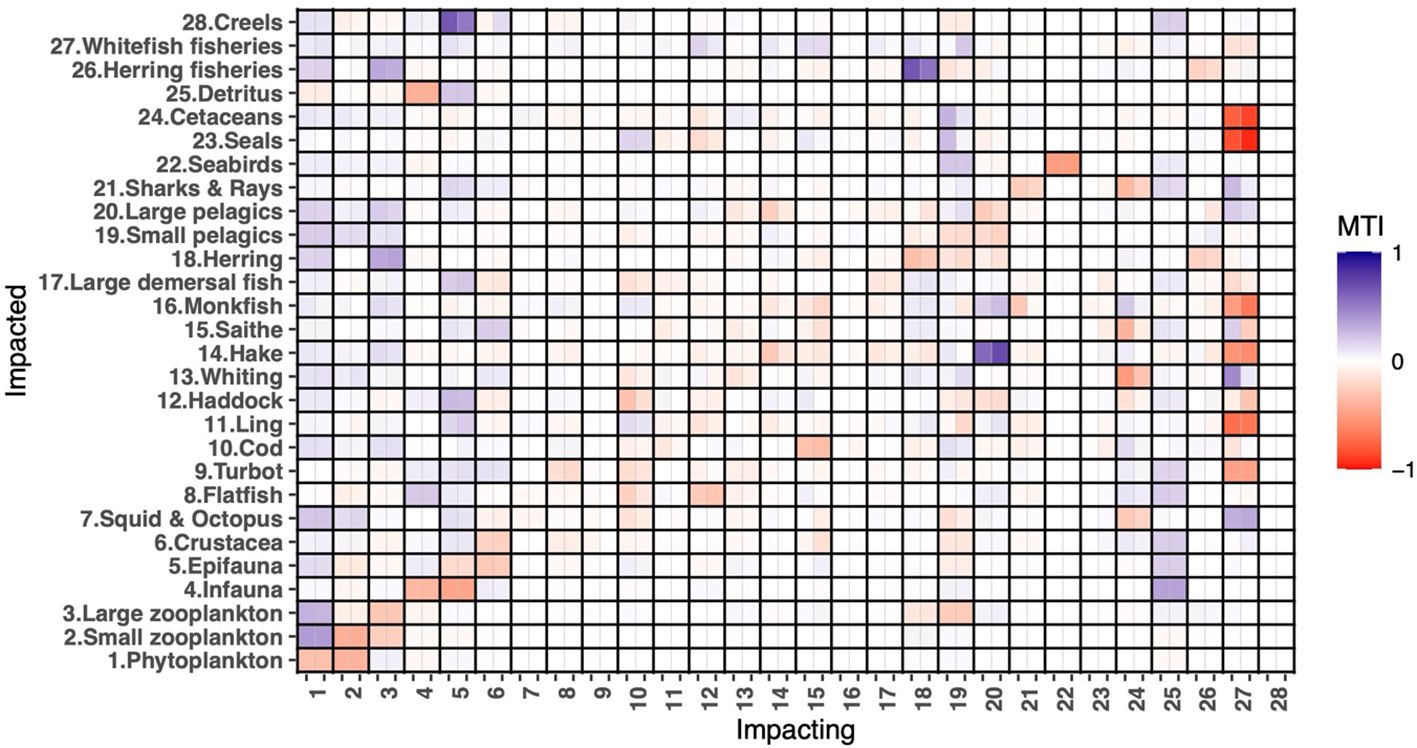 Heatmap displaying mutual trophic impacts (MTI) between various marine species and fisheries. Rows and columns are labeled with species and fisheries, respectively. Colors range from purple (positive impact) to red (negative impact) with a scale from -1 to 1. Notable red and purple squares indicate significant interactions.