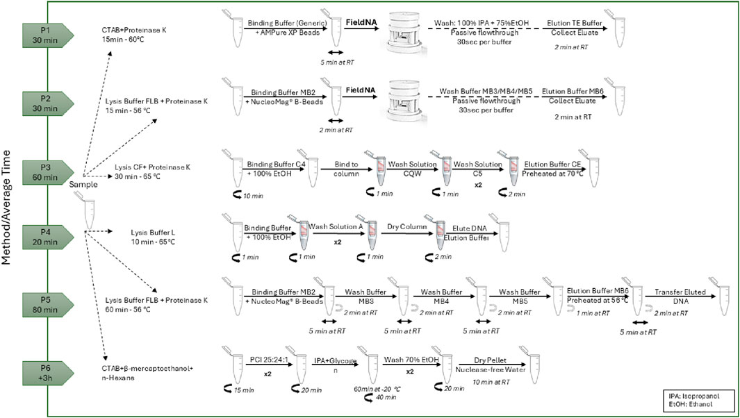 Flowchart detailing six methods for sample preparation involving various reagents and buffers, with different steps and incubation times. Each method outlines specific combinations like CTAB with Proteinase K, Binding Buffers with beads, wash and elution steps, and different temperatures. The timeline for each method ranges from 20 minutes to more than 3 hours. Associations between methods are marked by arrows, and specific abbreviations like IPA for Isopropanol and EtOH for Ethanol are explained in a legend.