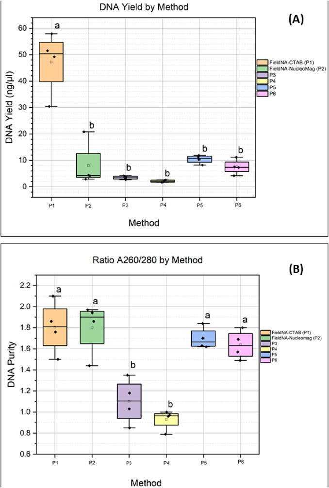 Box plots showing DNA yield and purity by method. Chart (A) displays DNA yield in nanograms per microliter, with P1 having the highest yield. Chart (B) shows DNA purity ratio A260/280, with methods P1, P2, P5, and P6 achieving higher purity. Each method is color-coded. Statistical significance is indicated by letters a and b.