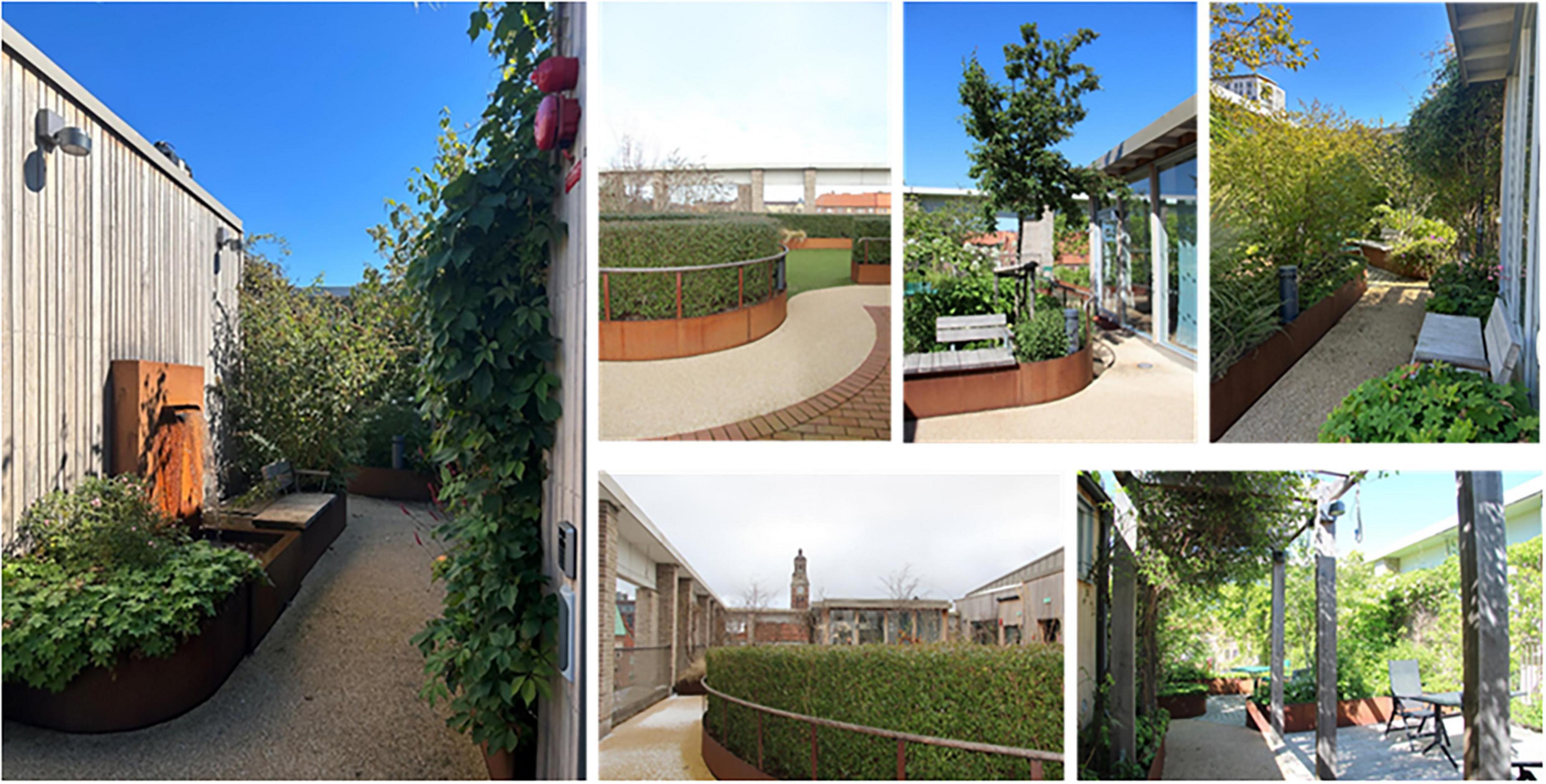 Series of images showcasing a rooftop garden with planters and lush greenery. The first image shows a winding path with plants alongside a building. The remaining images feature various garden sections, including a central hedge, benches, and open walkways surrounded by trees and plants, highlighting the garden’s tranquility and lush environment.