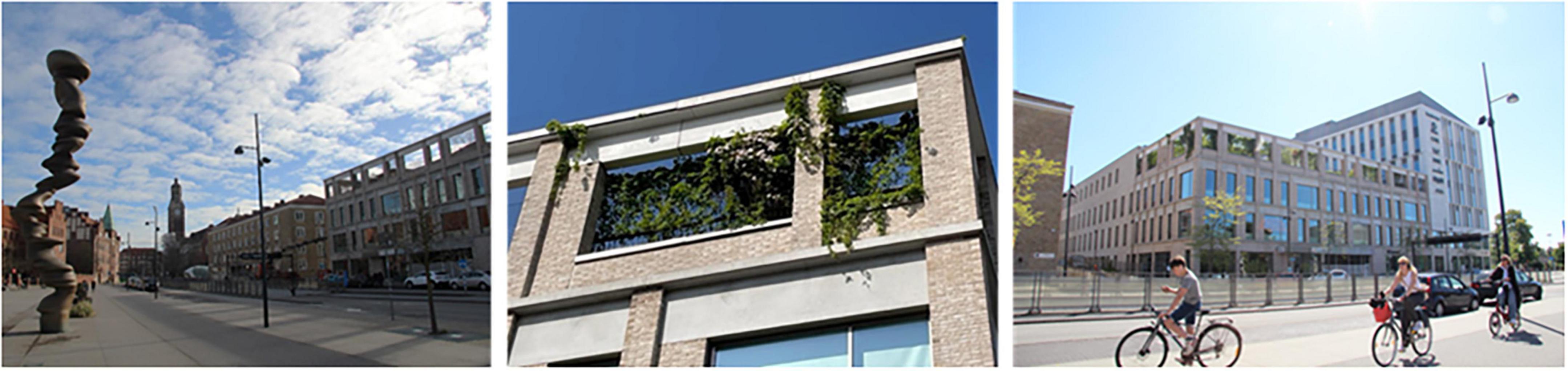 Urban street scene with three perspectives: A wide view of a street lined with brick buildings, including the Memory clinic and a sculptural installation; a close-up of the Memory clinic’s facade with greenery; cyclists passing the Memory clinic under a clear sky.